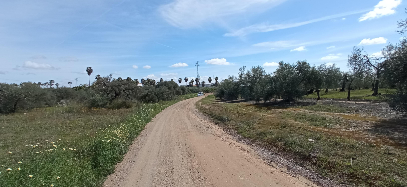 Las imágenes de la Ruta Azul en Bollullos de la Mitación