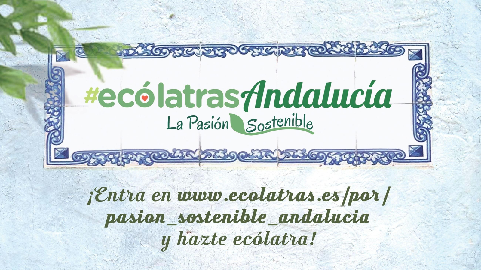 El ganador de este programa recibirá una aportación económica de 3.000 euros