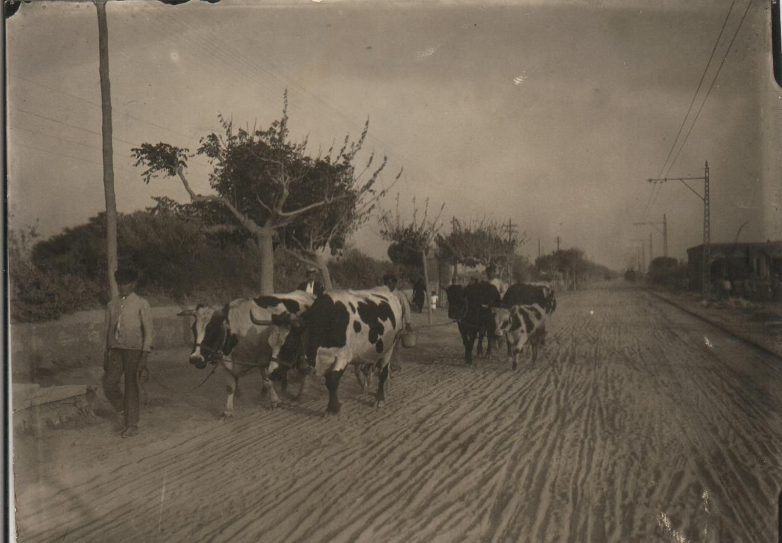 Imágenes sorprendentes de la historia de la avenida de Cádiz