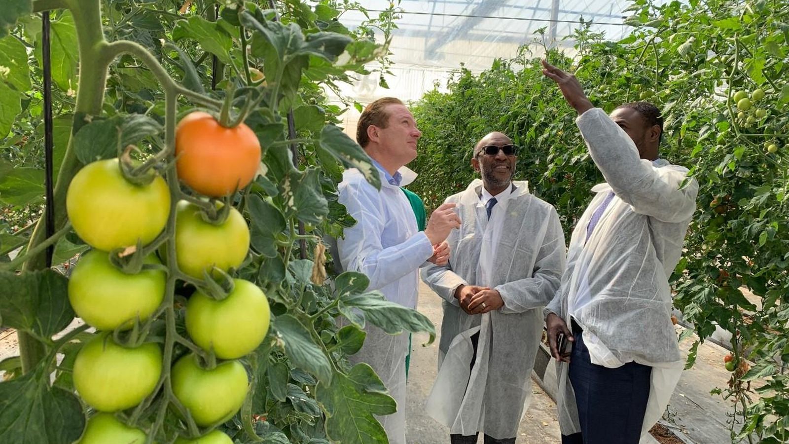 En el recorrido también se visitaron las instalaciones de la Finca Experimental UAL-Anecoop, guiados por Diego Luis Valera.