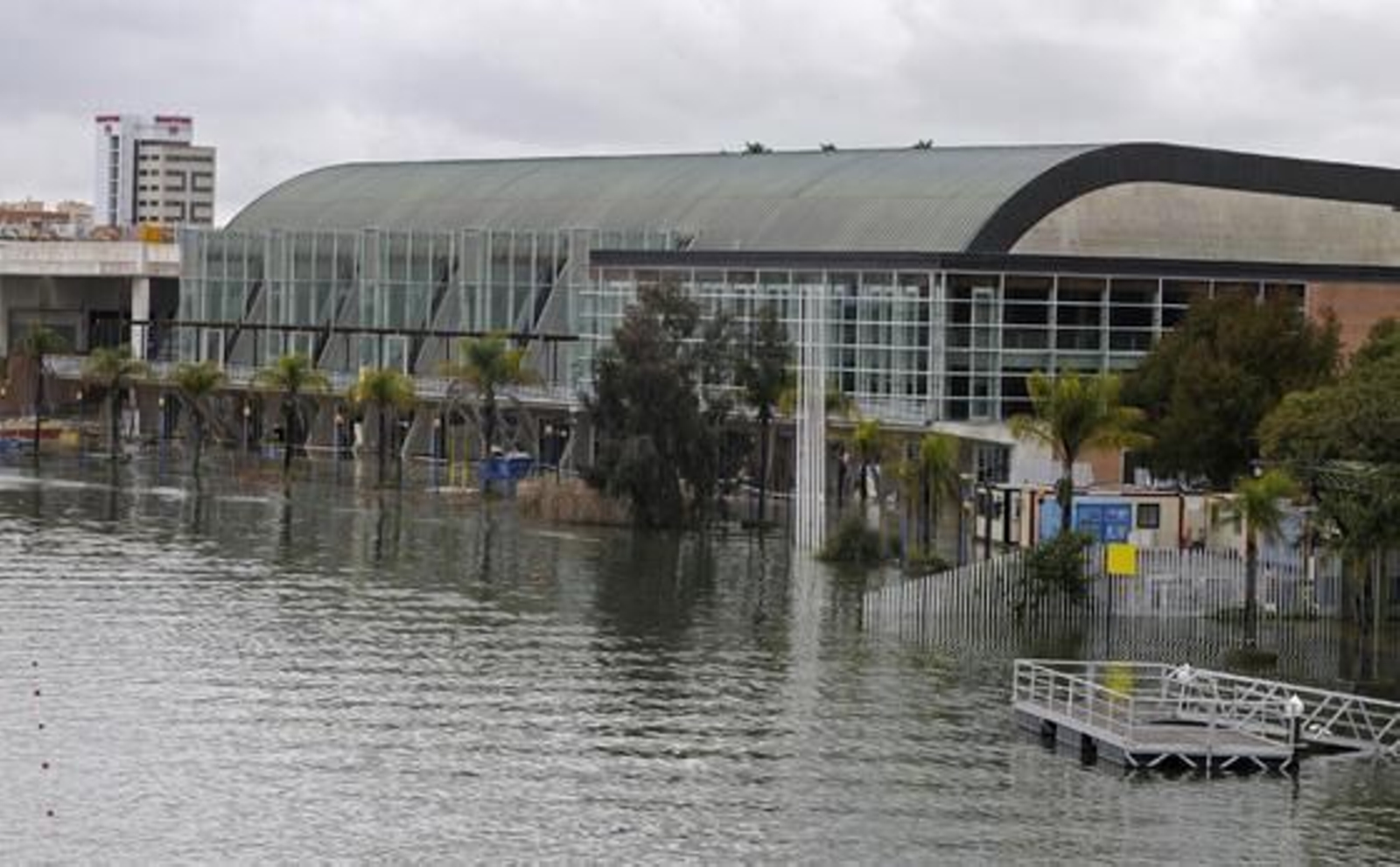 Una zona de La Cartuja inundada.

Foto: Juan Carlos Vázquez