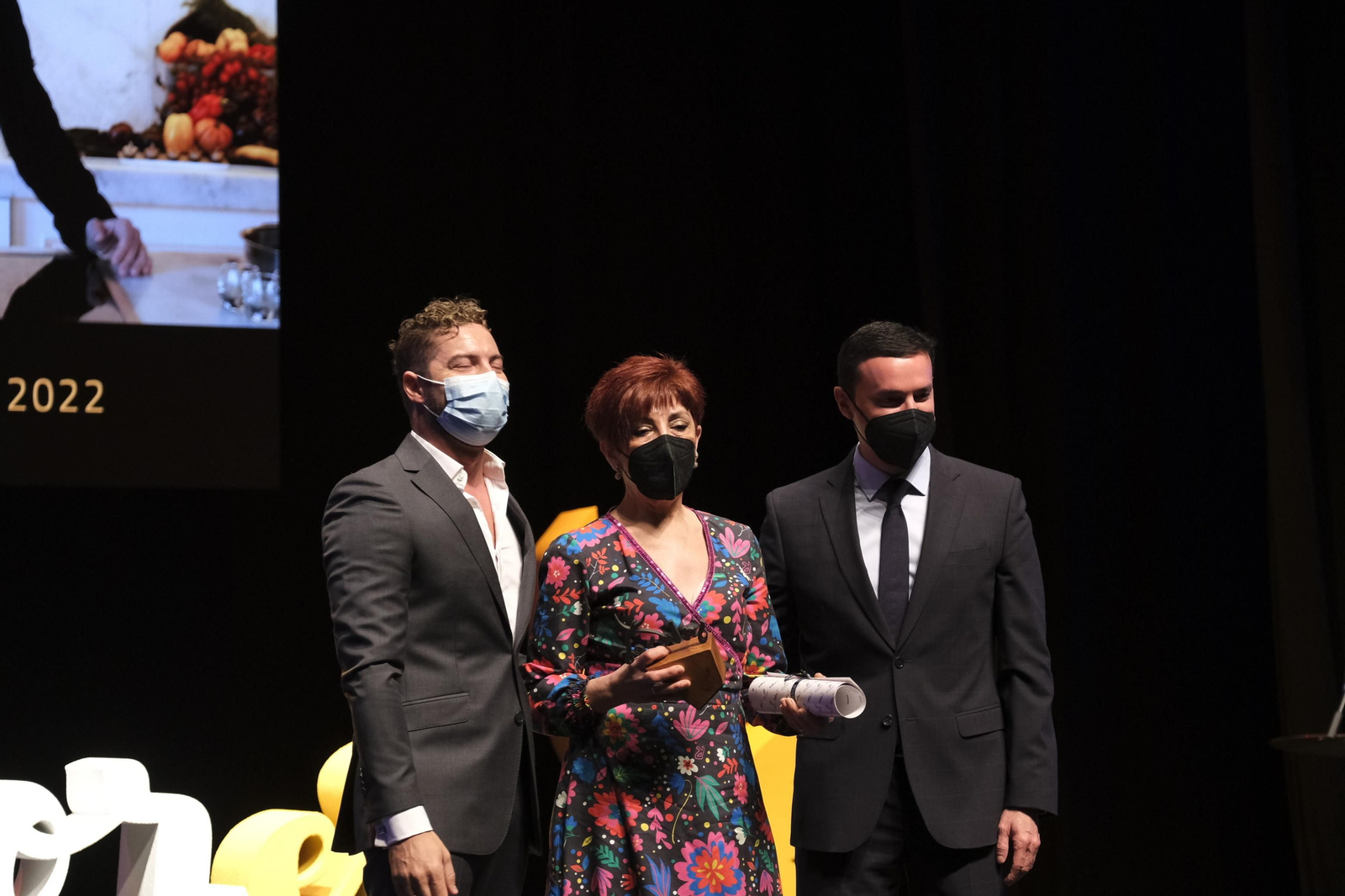 Imágenes de la II Gala Sabores Almería con David Bisbal. Vera