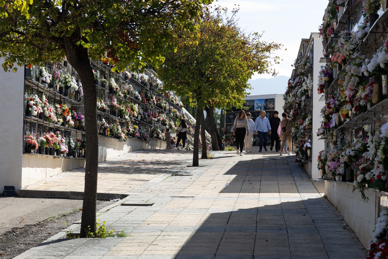 Día de Los Santos en el cementerio de San Fernando y San Eufrasio de Jaén, en imágenes