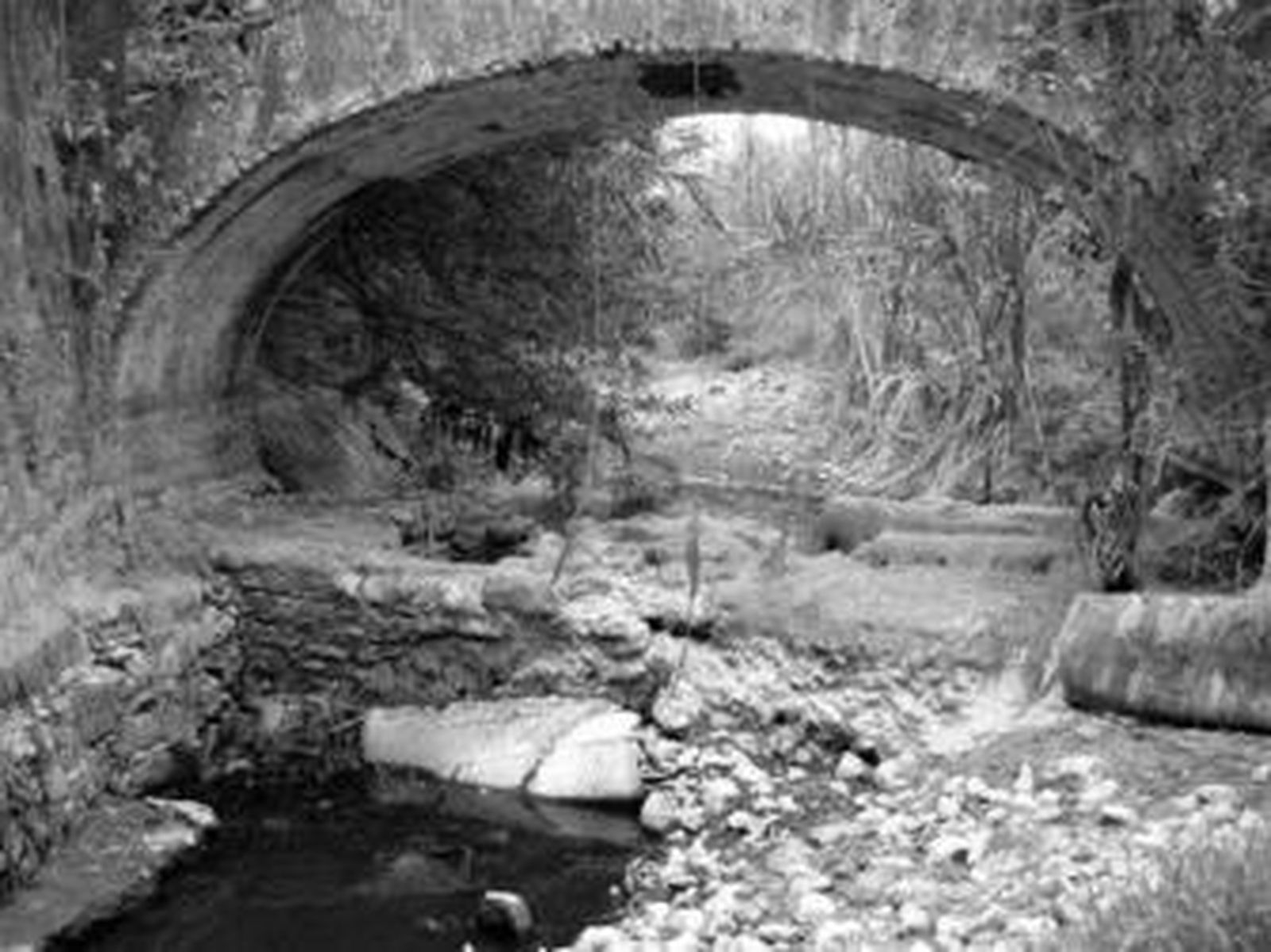 El río Pino, en una imagen de archivo.
