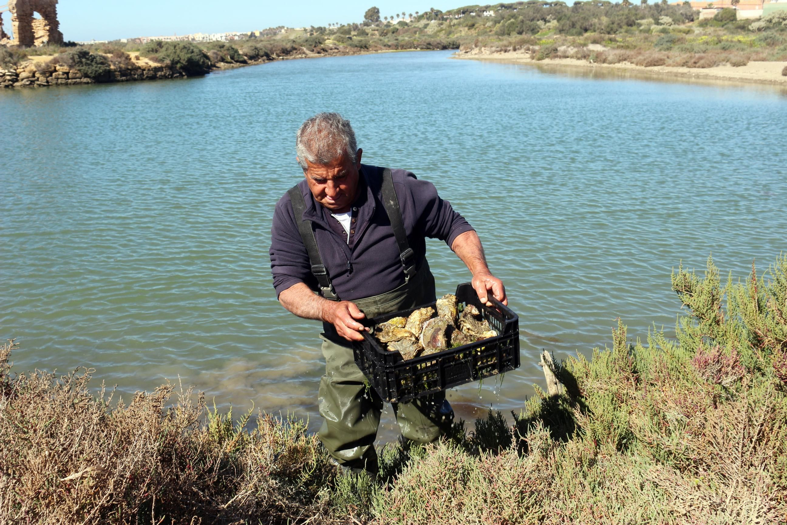 Así es la Salina de Balbanera en Puerto Real