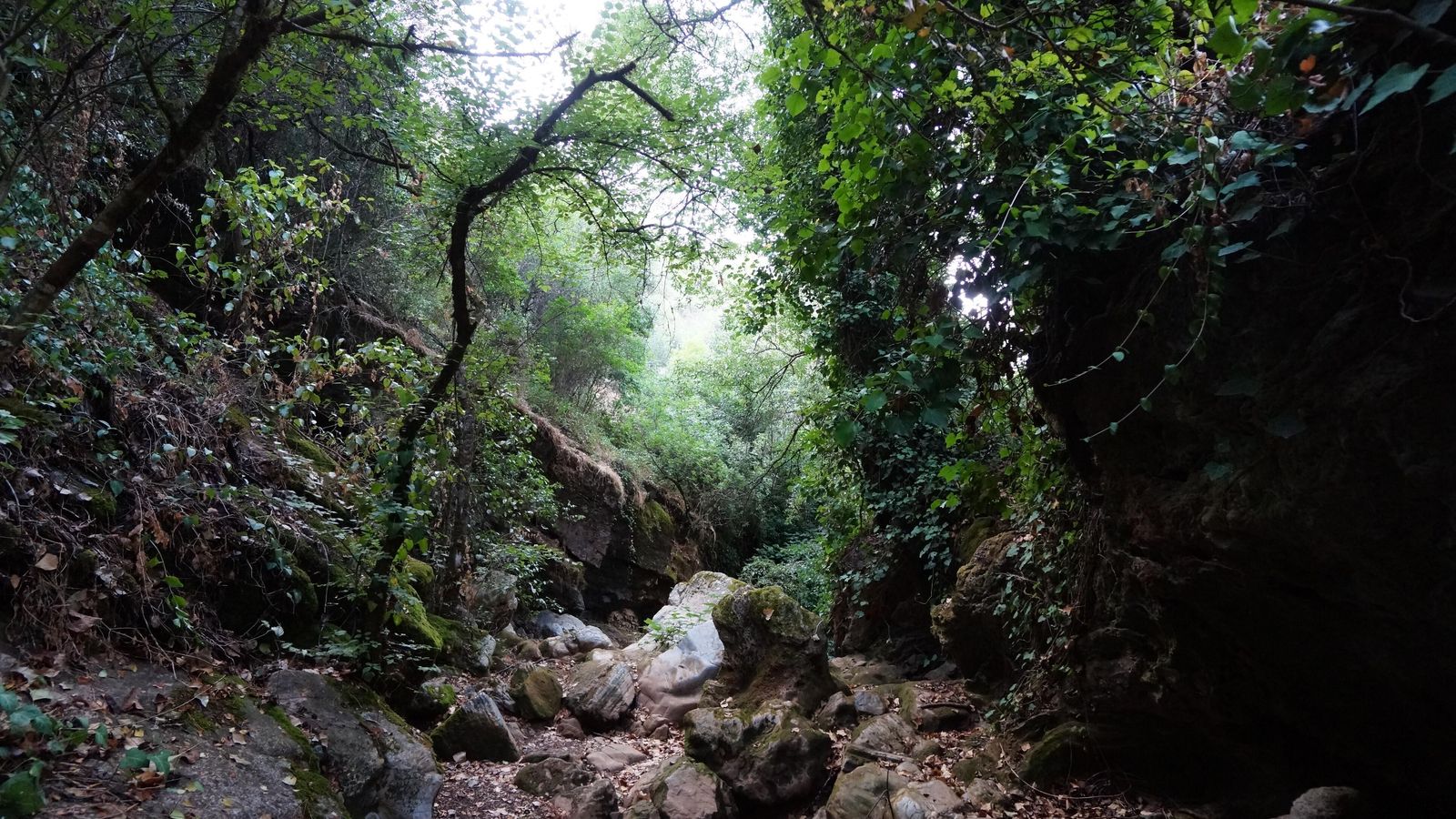 Cauce seco del arroyo del Molino.