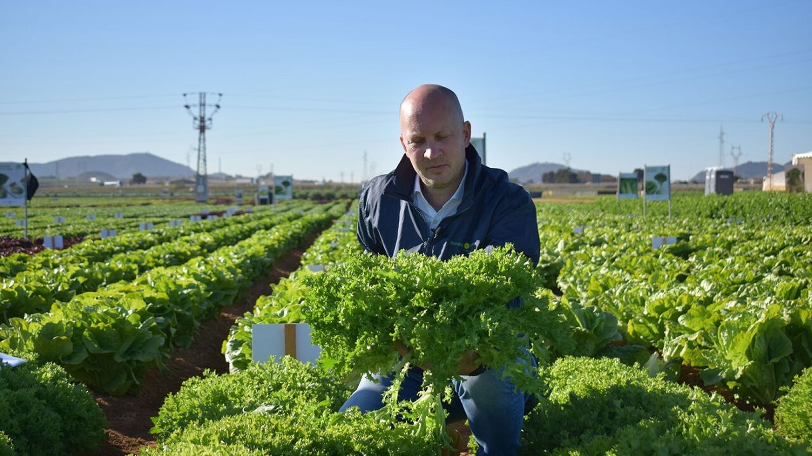 Jornadas de lechuga y Apio de Ramiro Arnedo en Cartagena