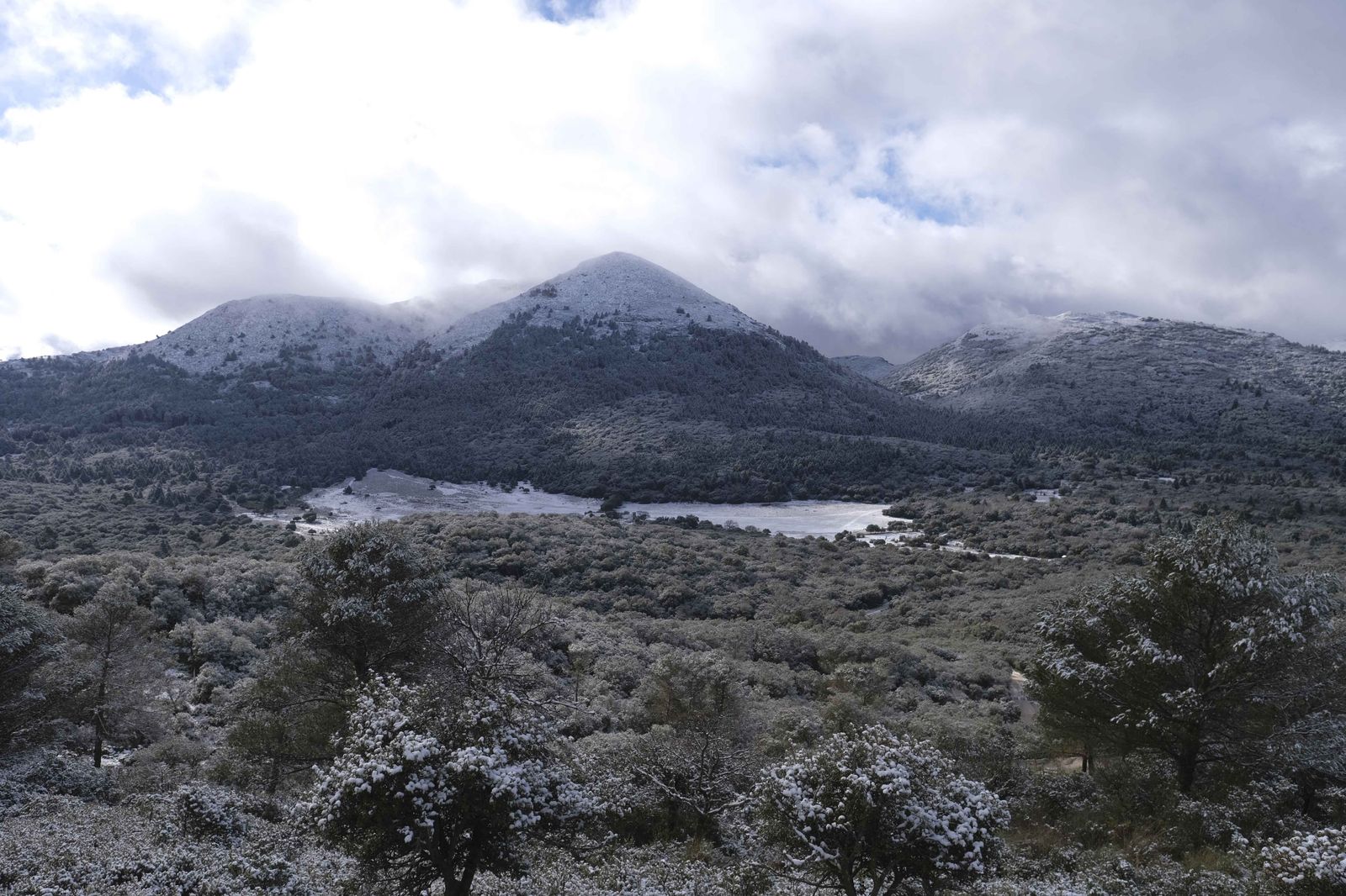 Nevada en la Serranía de Ronda, en fotos.