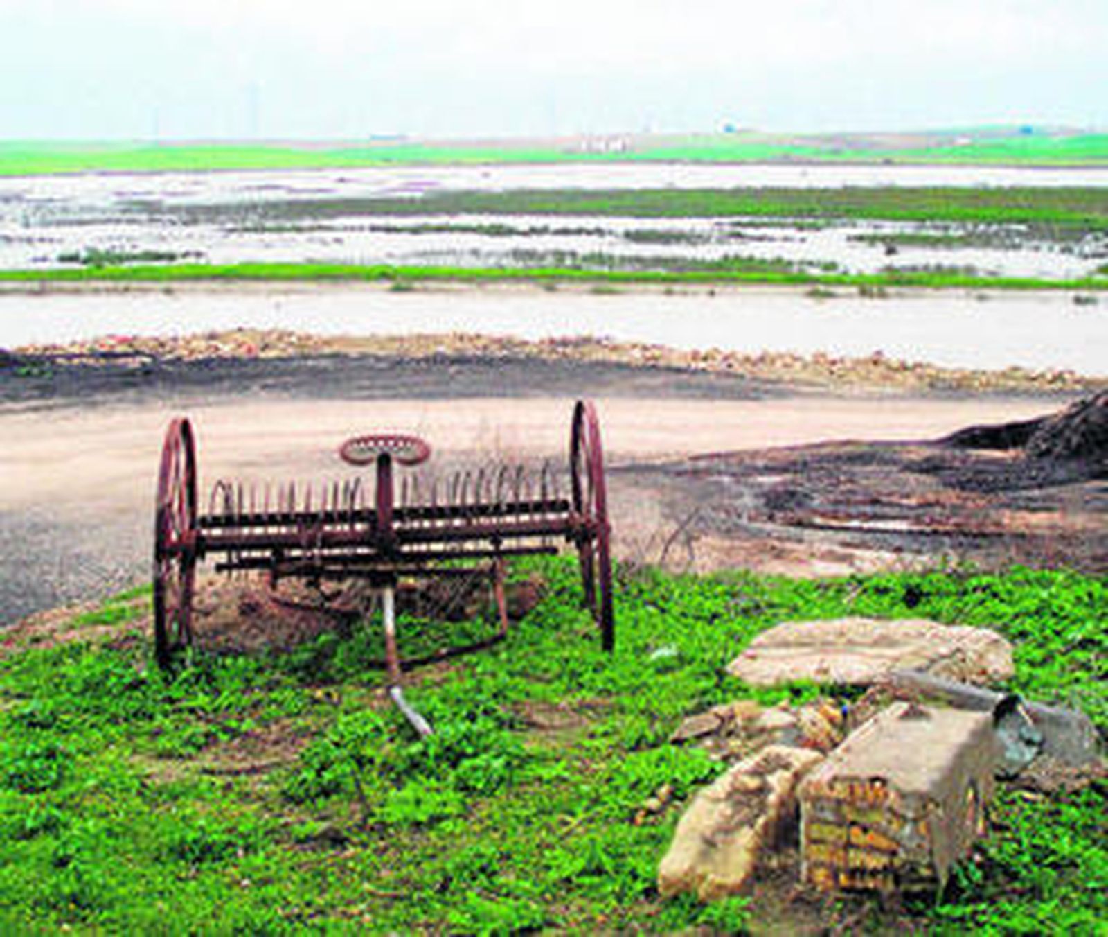 La Vereda de la Doctora parte de la laguna del Pozo Lozano, en la imagen.