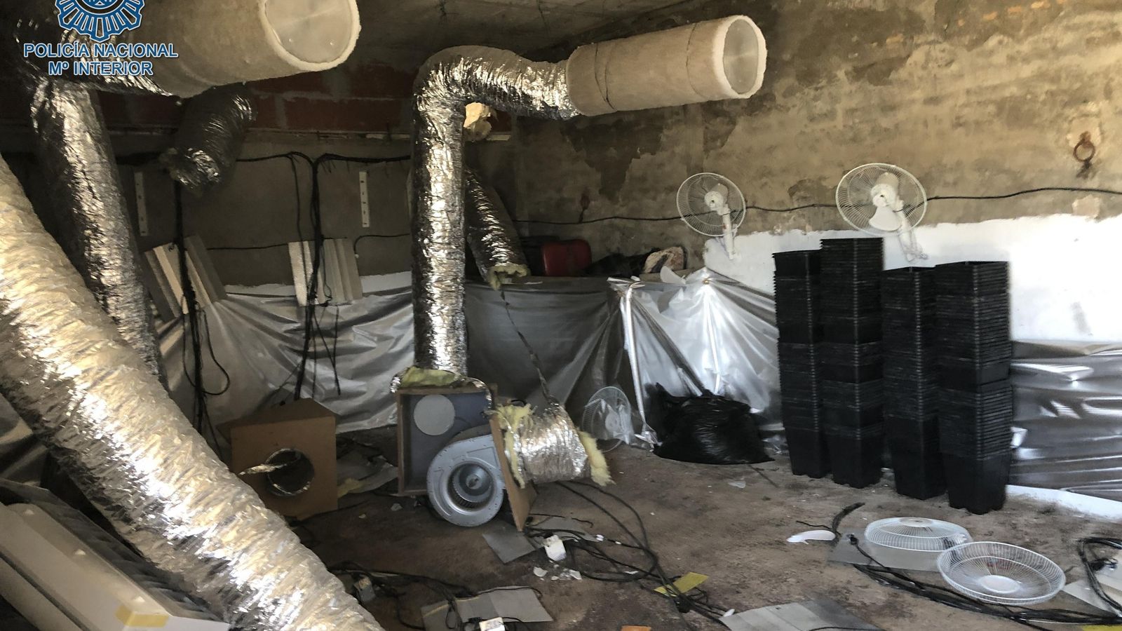 Nave industrial que albergaba una plantación desmantelada por la Policía Nacional.
