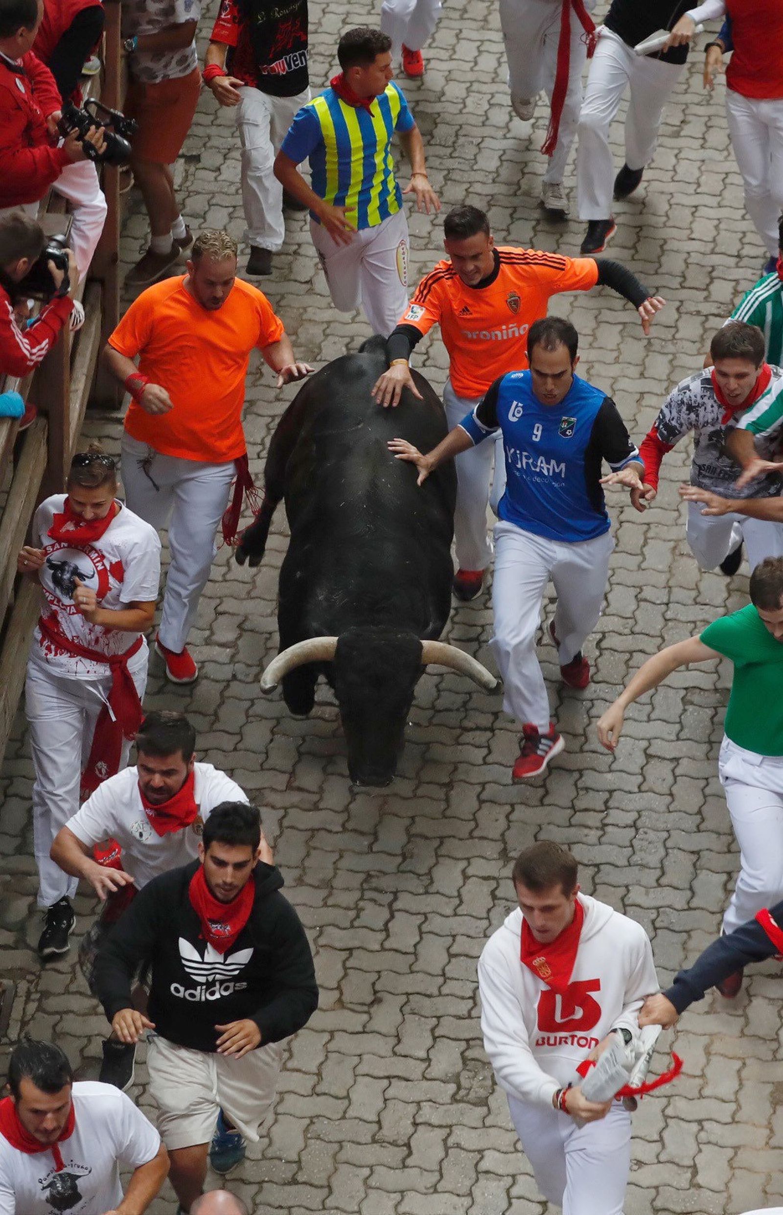 Las imágenes del encierro de los toros de Jandilla