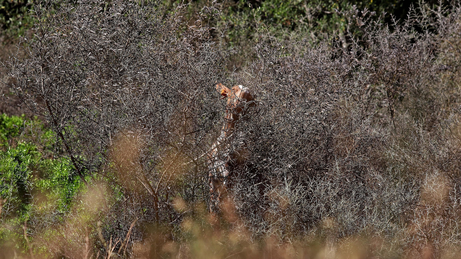 Las mejores fotos del sendero del Río Hozgarganta