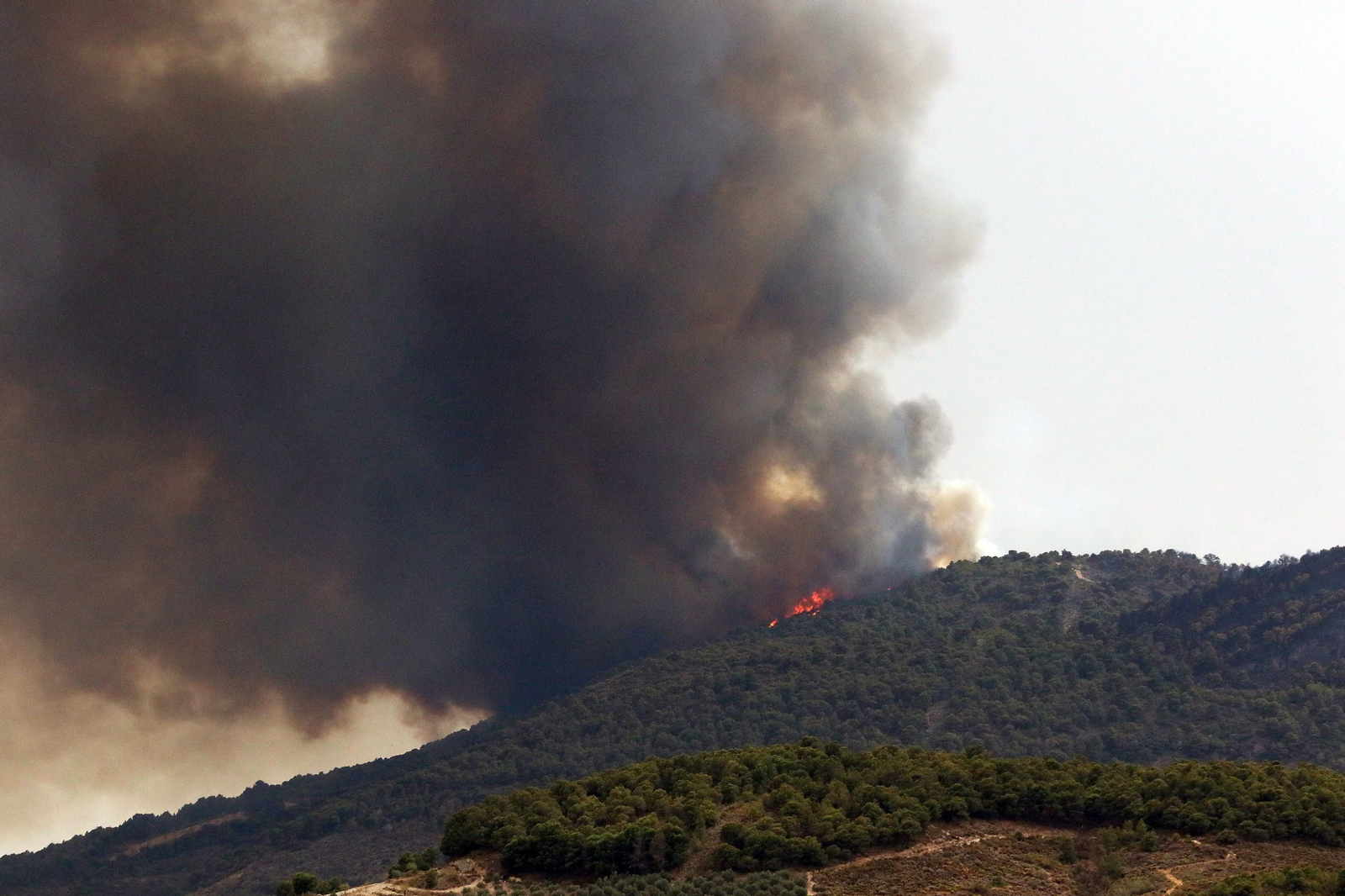 Las imágenes del incendio de Granada que causa terror en la provincia