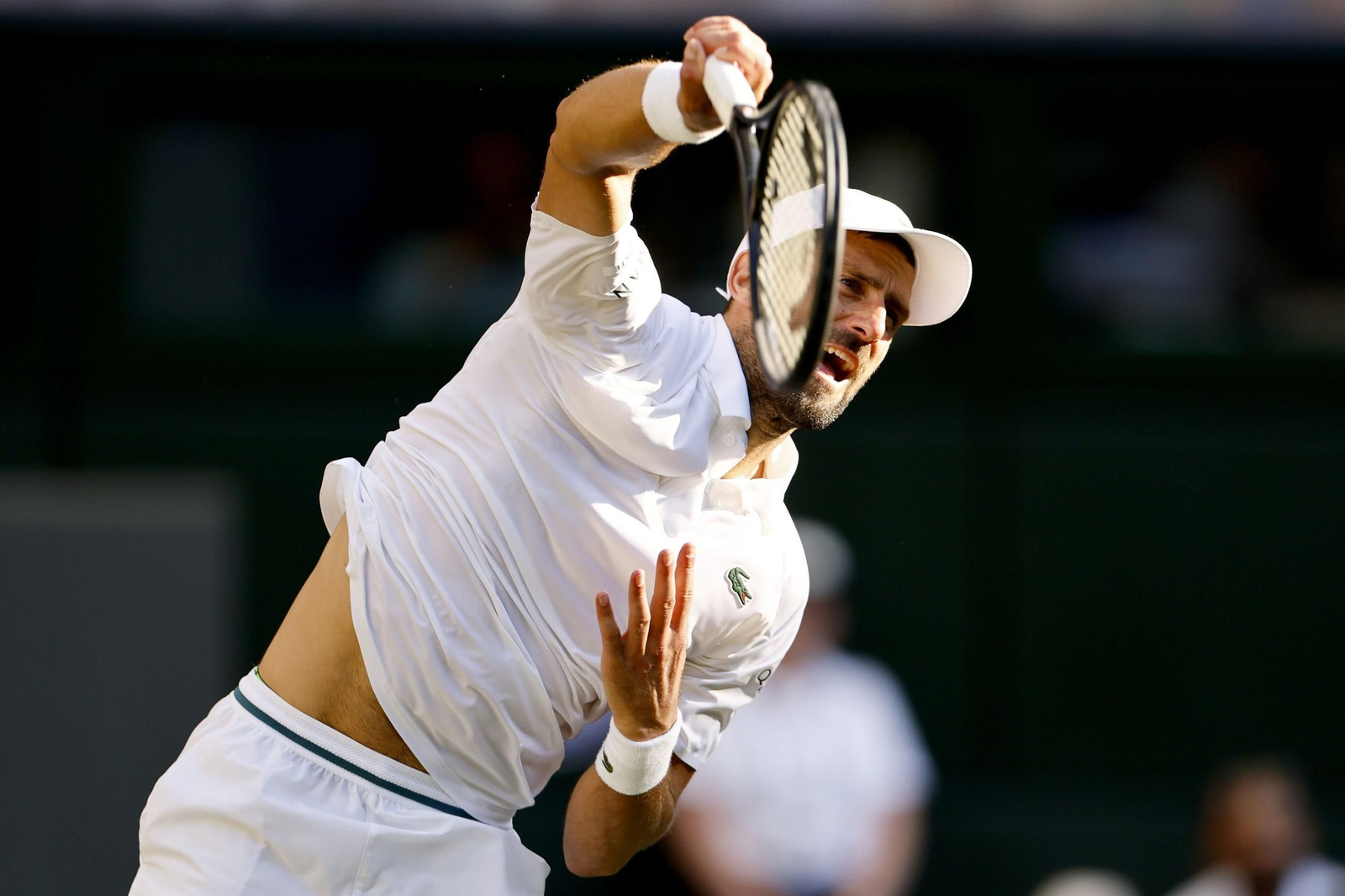 Las fotos de Wimbledon con las clasificaciones de Djokovic y Sinner