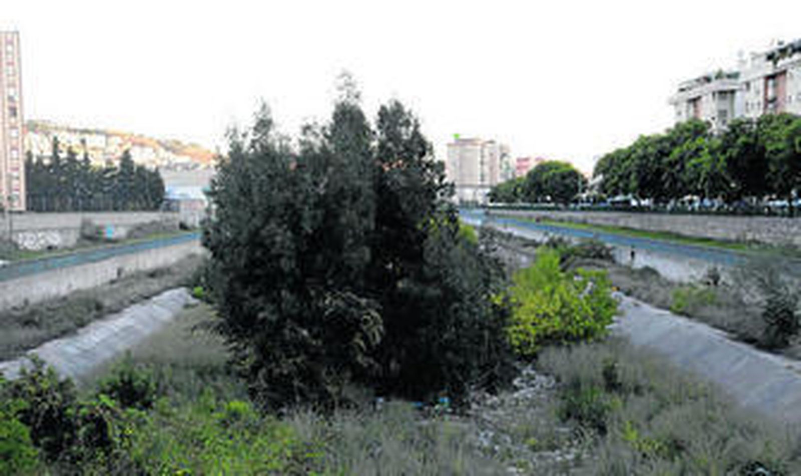 Aspecto que presentaba el cauce del río Guadalmedina de la capital en pleno mes de octubre.