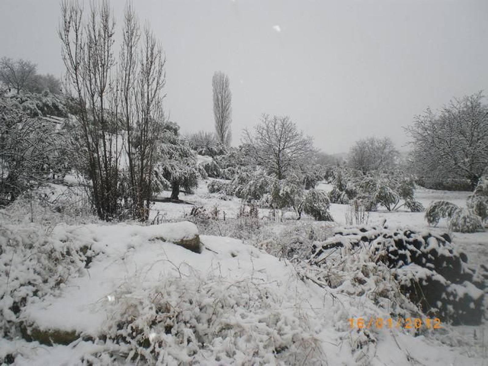 Paisaje invernal en Valdepeñas de Jaén. Paisaje invernal en Valdepeñas de Jaén.