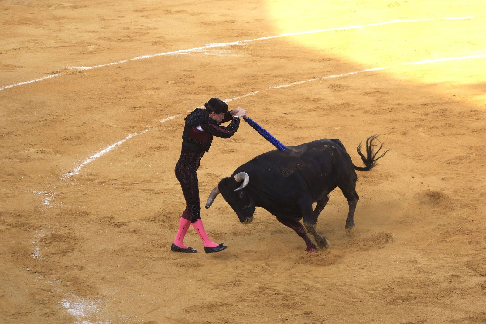 Fotos de la corrida de toros de la Feria de San Roque con David Galván, Román y Joaquín Galdós