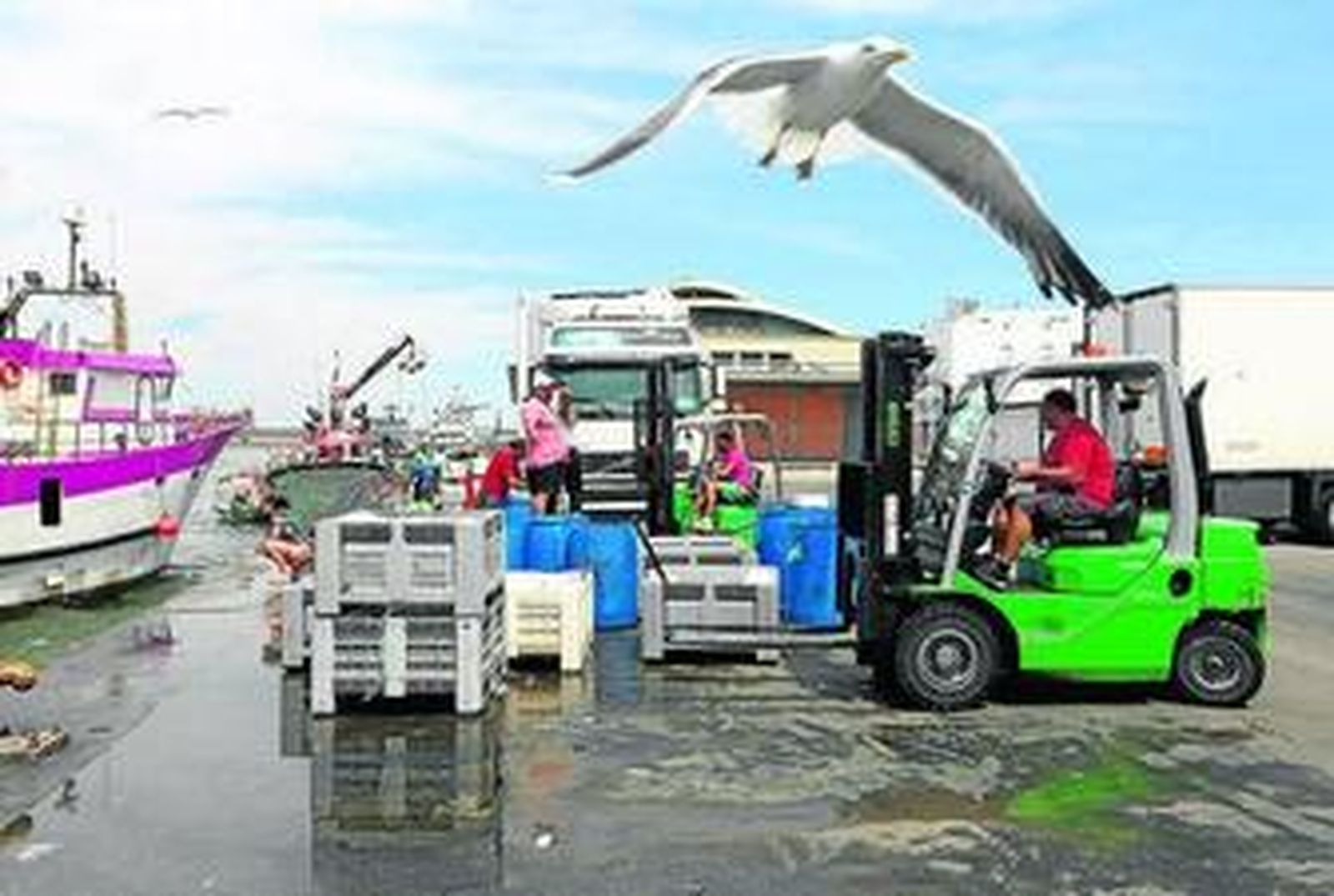 Actividad pesquera en la lonja de Isla Cristina, la más importante en fresco de Andalucía.