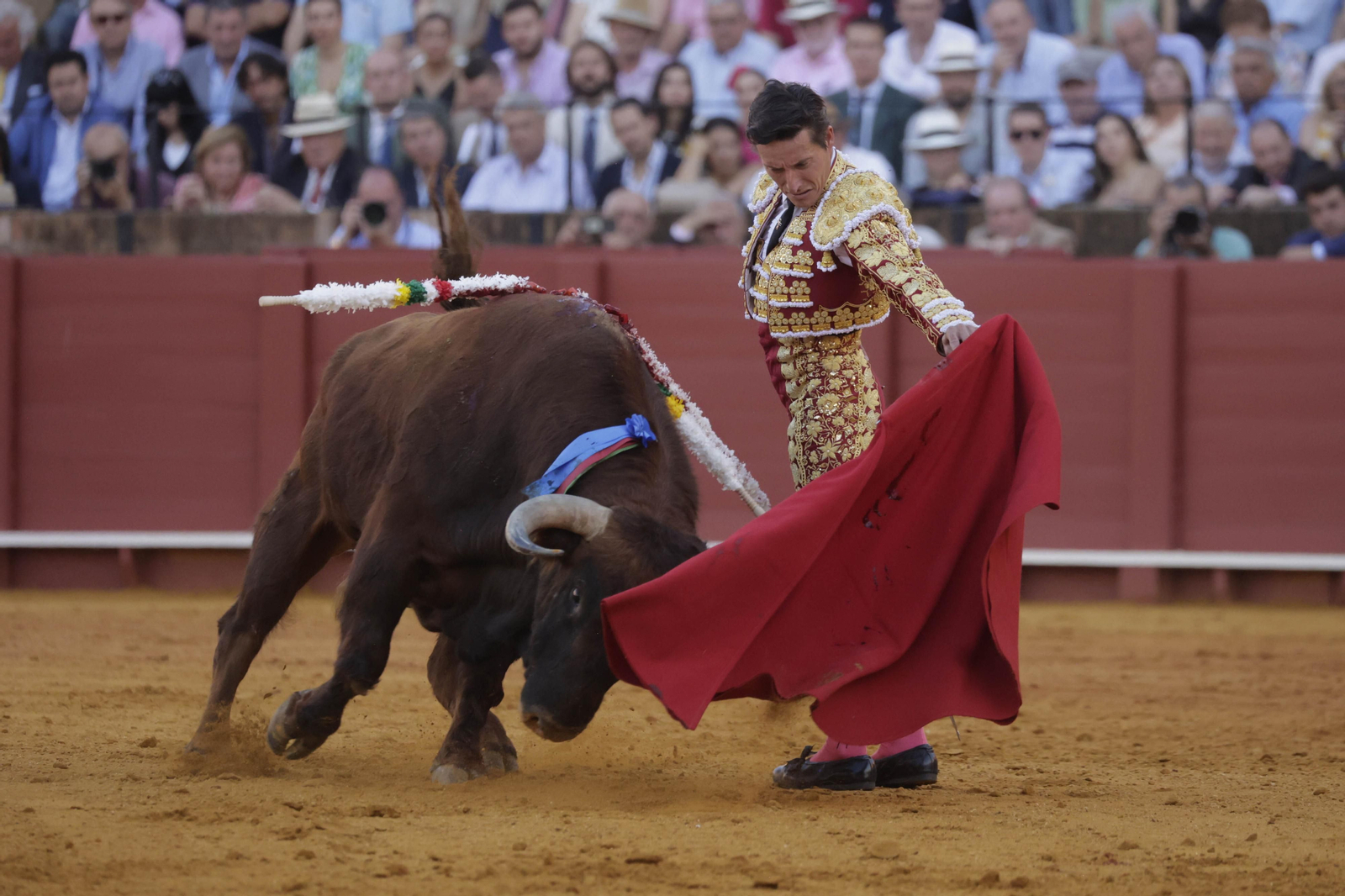 Las imágenes del festejo