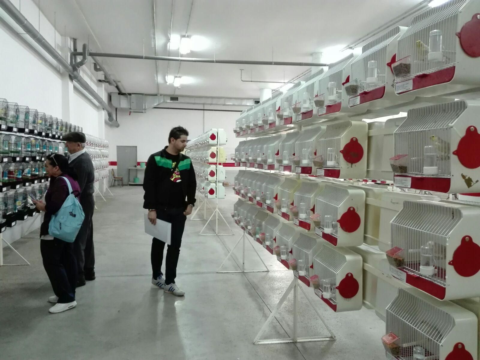 Imagen de una edición anterior del concurso ornitológico.