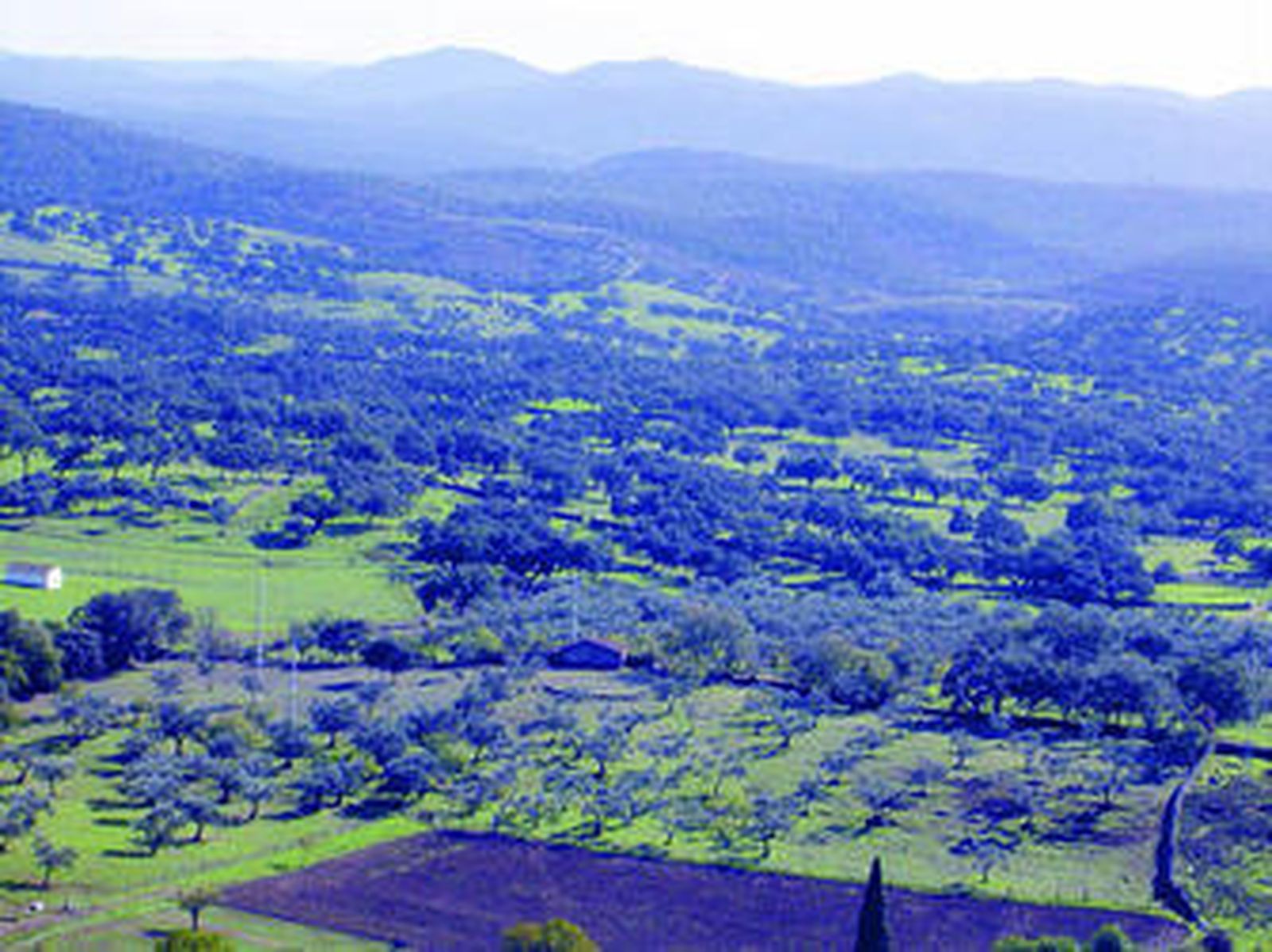 La Sierra de Aracena y Picos de Aroche.