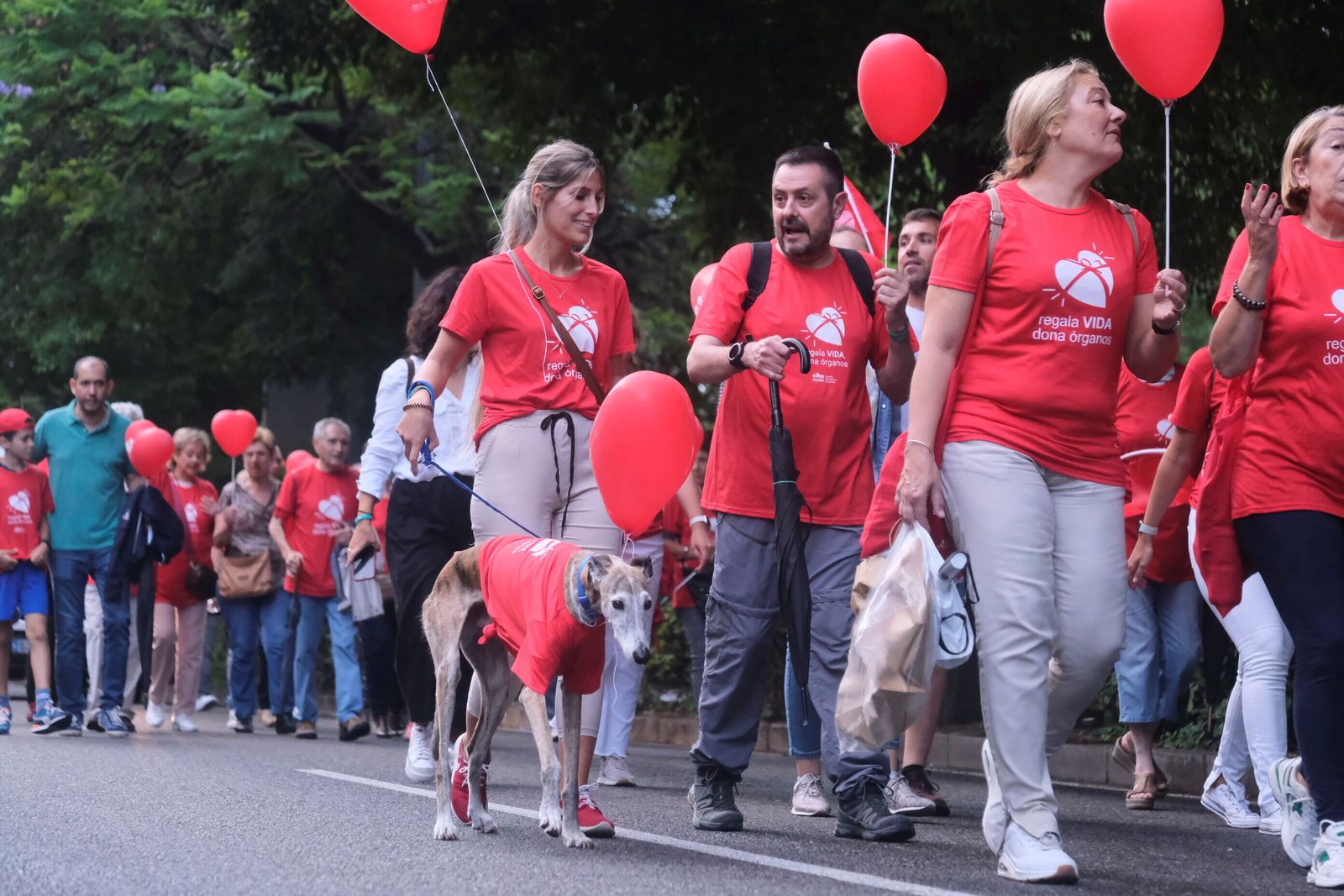La marcha por la donación tiñe de rojo las calles de Córdoba, en imágenes