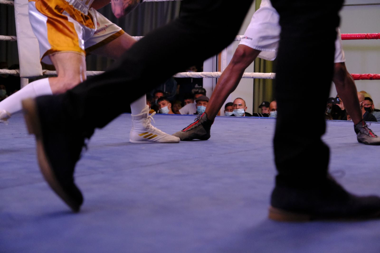 Fotogalería de la velada de boxeo Diamonds Boxing