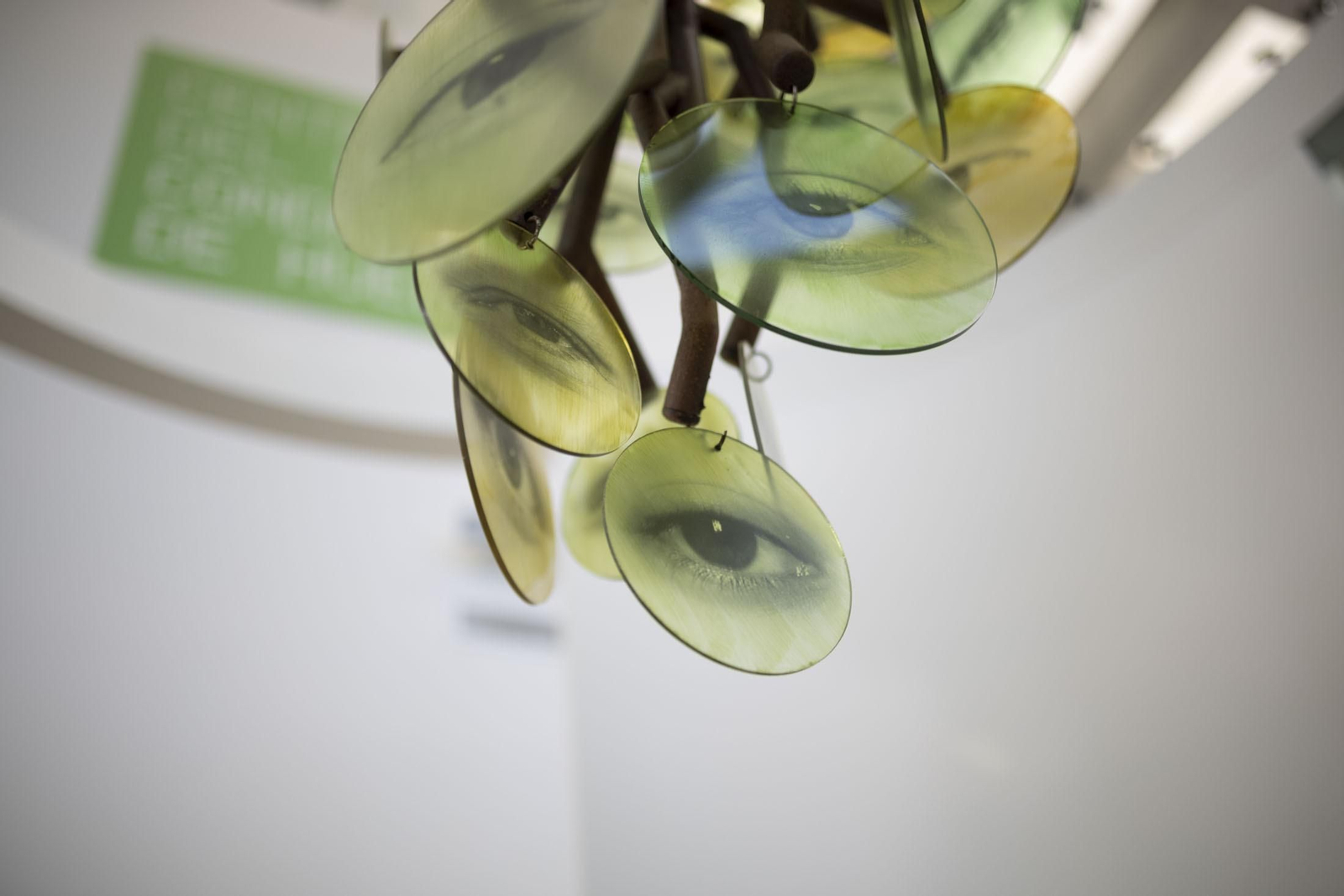 Imágenes de la vendimia en el Condado de Huelva