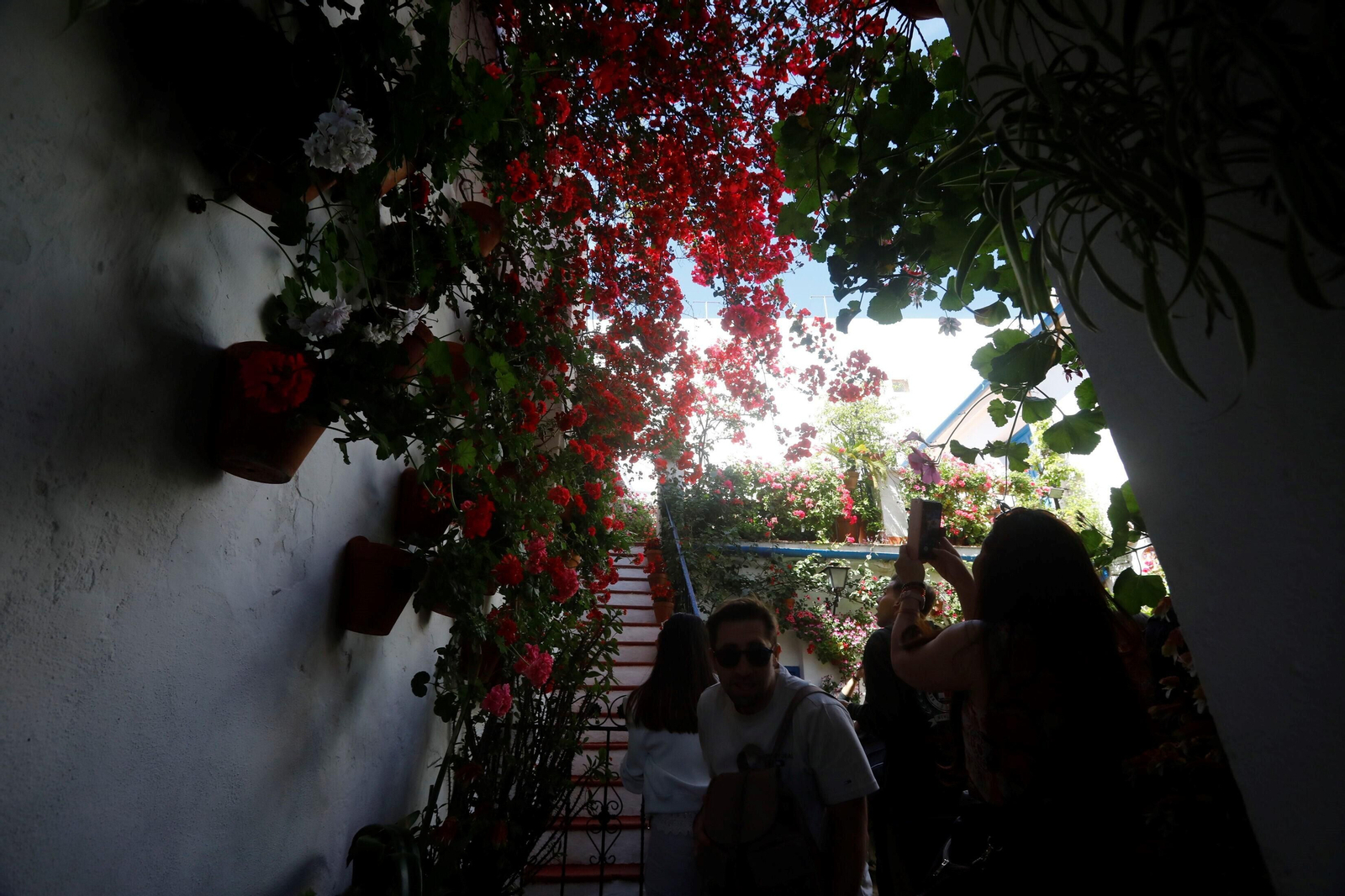 Los Patios de la Ruta de Santiago-San Pedro, en imágenes