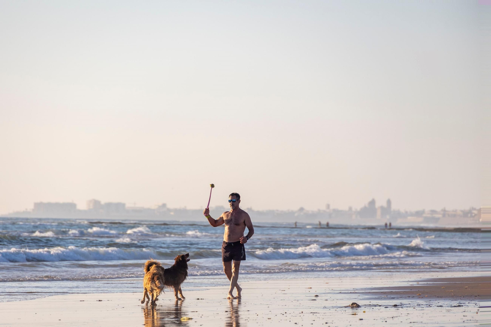 La playa canina, con Cádiz al fondo. La playa canina, con Cádiz al fondo.