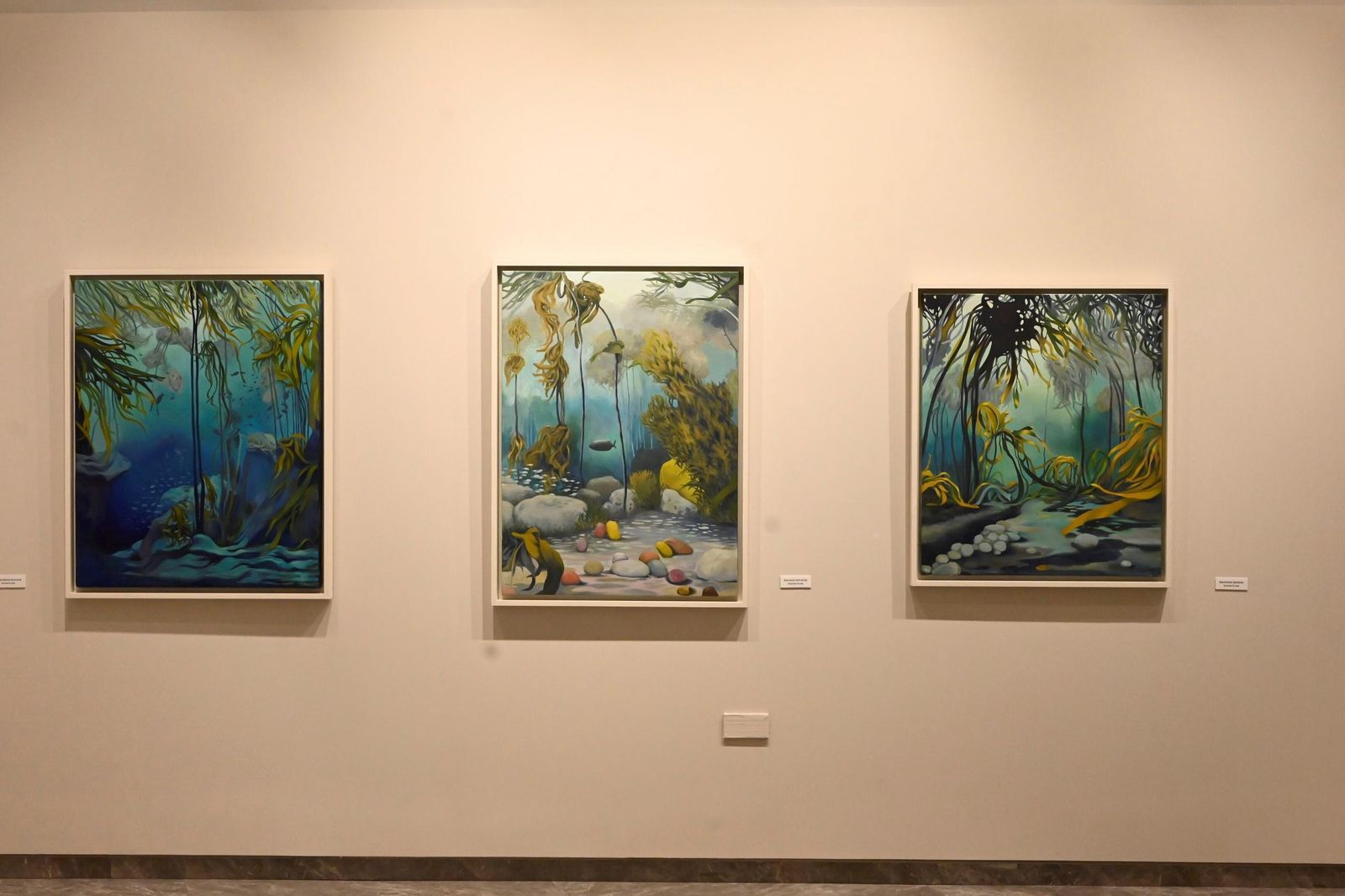 En fotos, la exposición que te llevará hasta el fondo del mar sin moverte de Córdoba