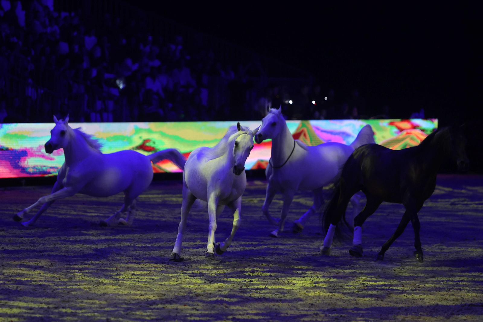 Las imágenes del espectáculo de  SICAB 2022