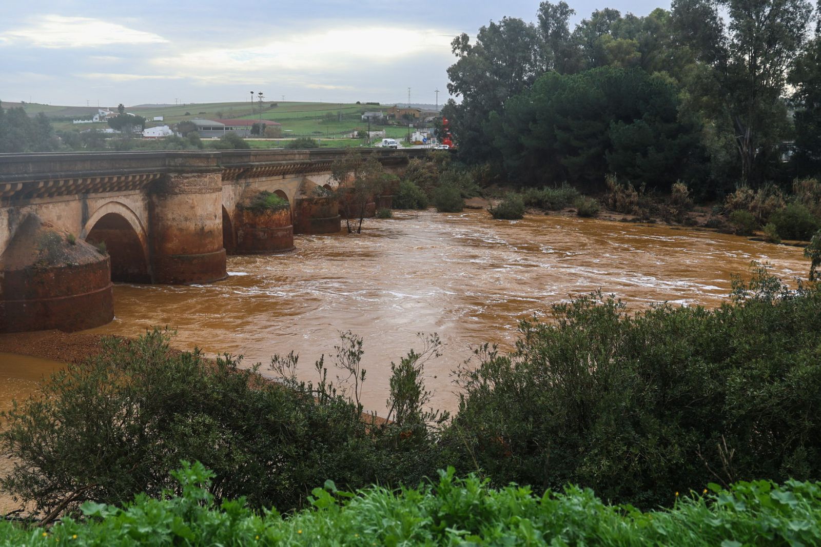 Fotografías del río Tinto a su paso por Niebla
