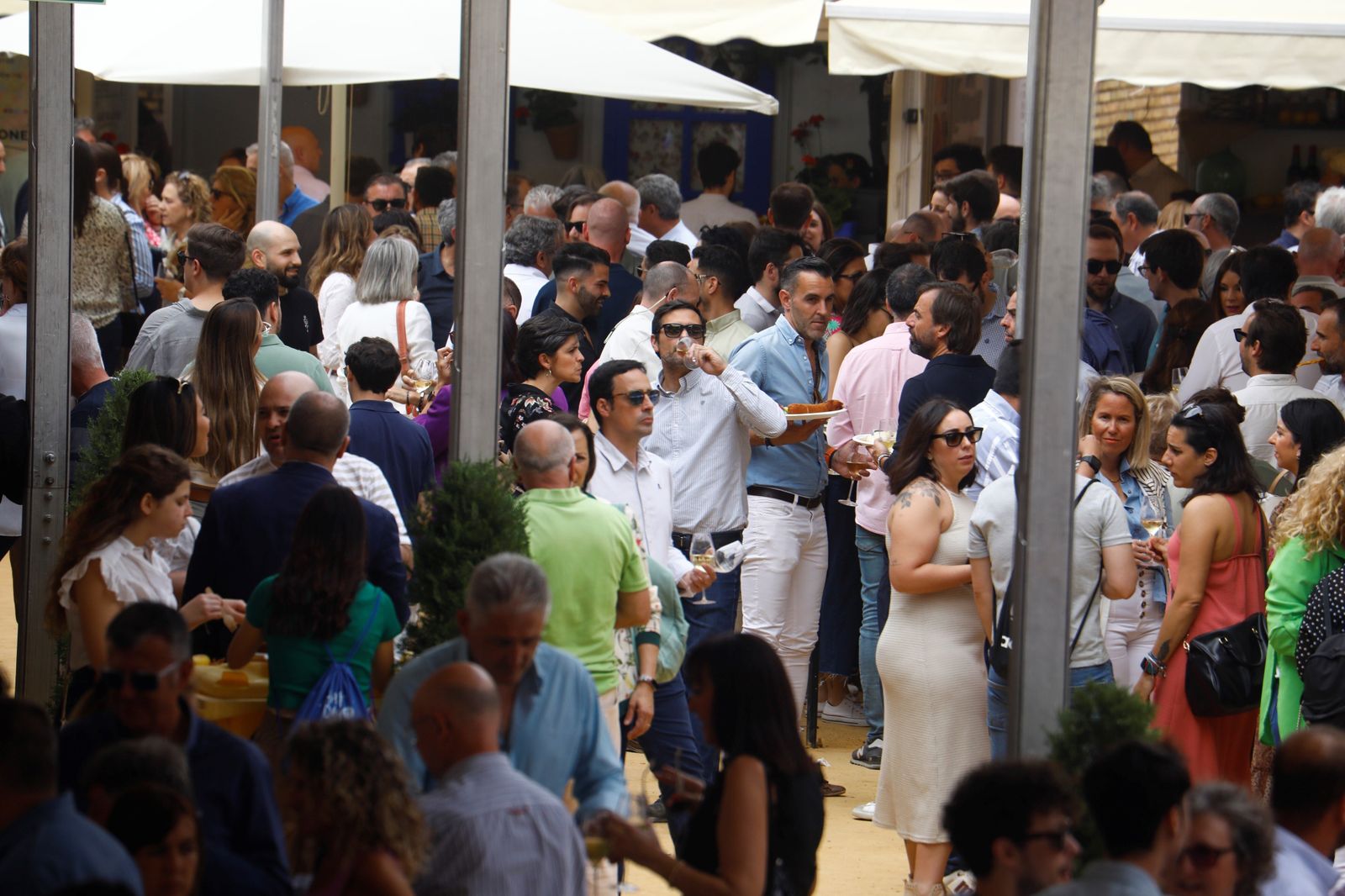 El viernes en la Cata del Vino de Córdoba, en imágenes