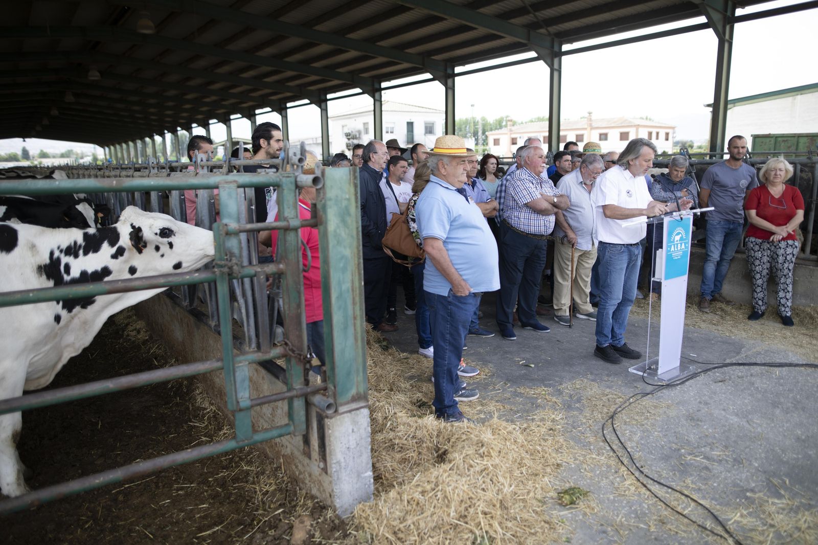 Imagen de la rueda de prensa ofrecida por los ganaderos de Alba en Granada