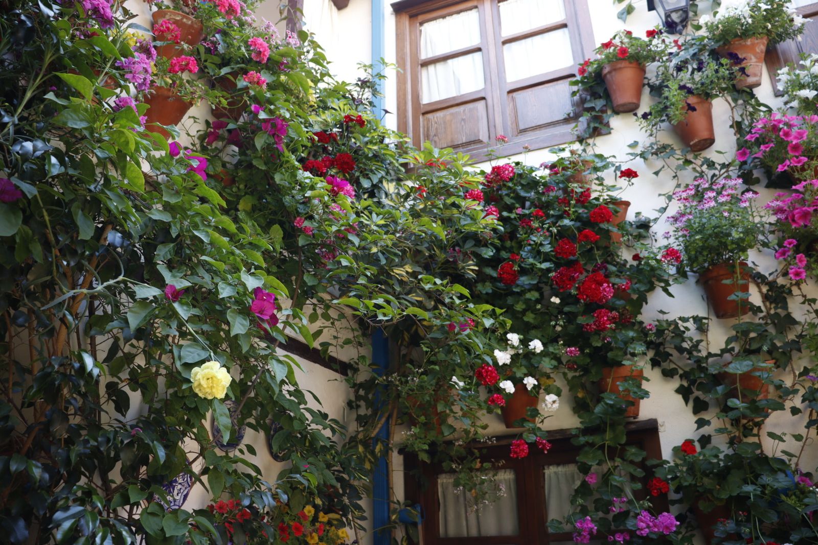 Ruta de los patios de San Lorenzo