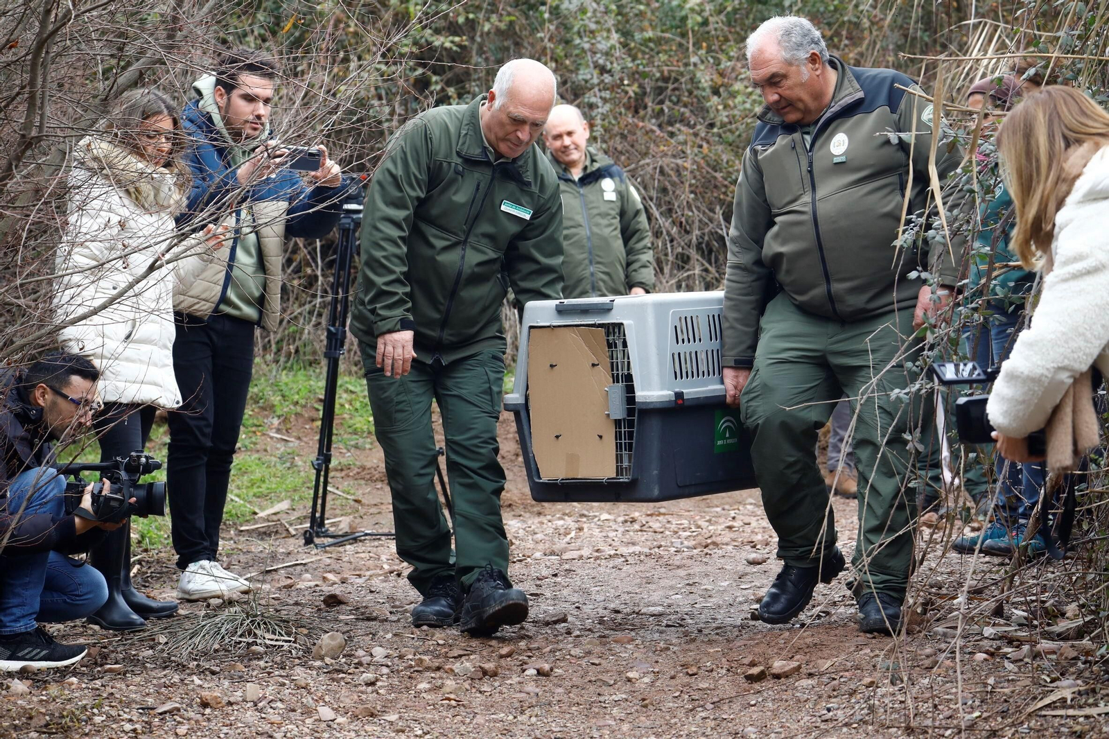 La suelta de la nutria recuperada en Córdoba, en imágenes La suelta de la nutria recuperada en Córdoba, en imágenes