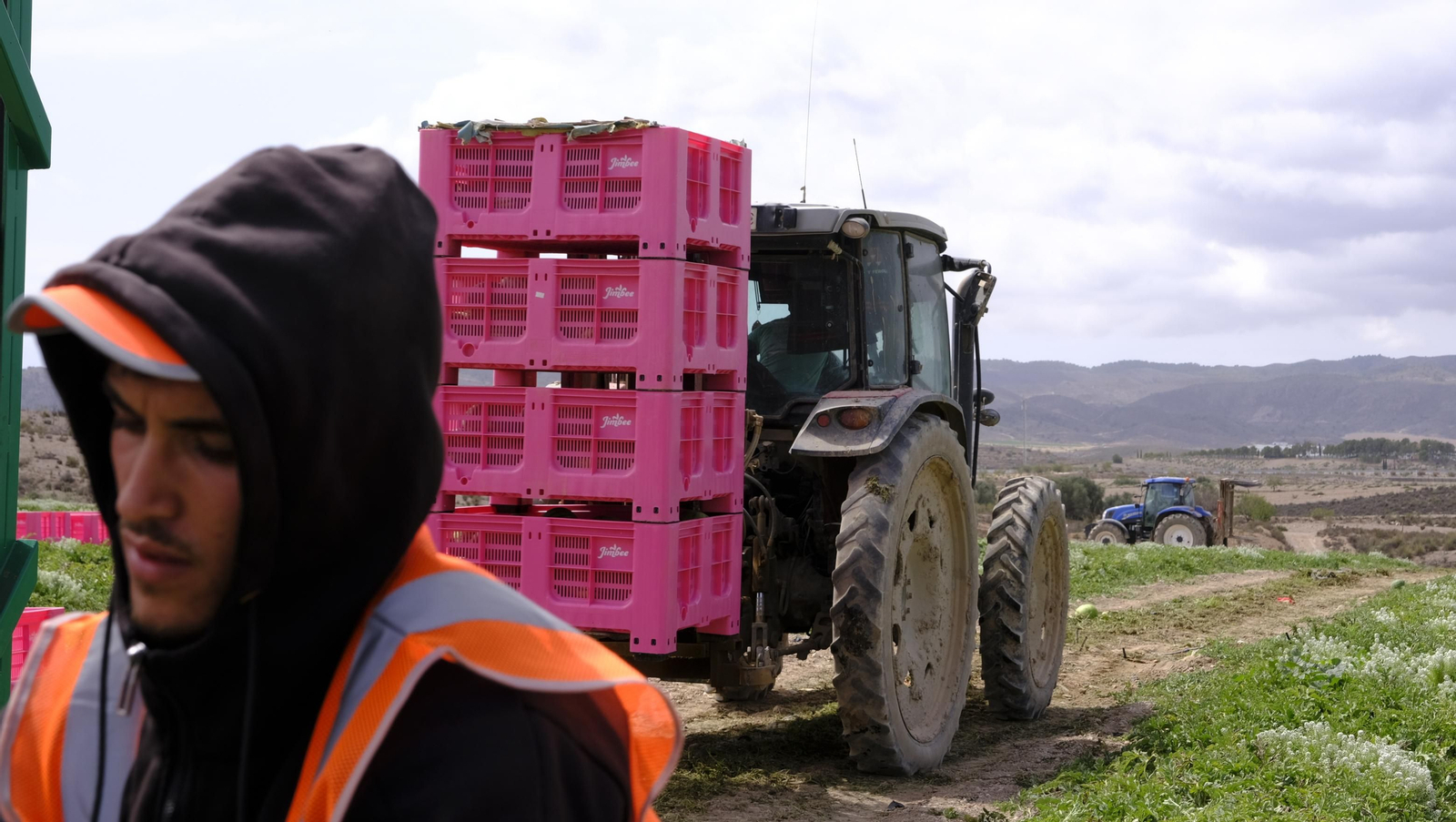 La sandía y el melón de Huércal Overa, manjares en imágenes