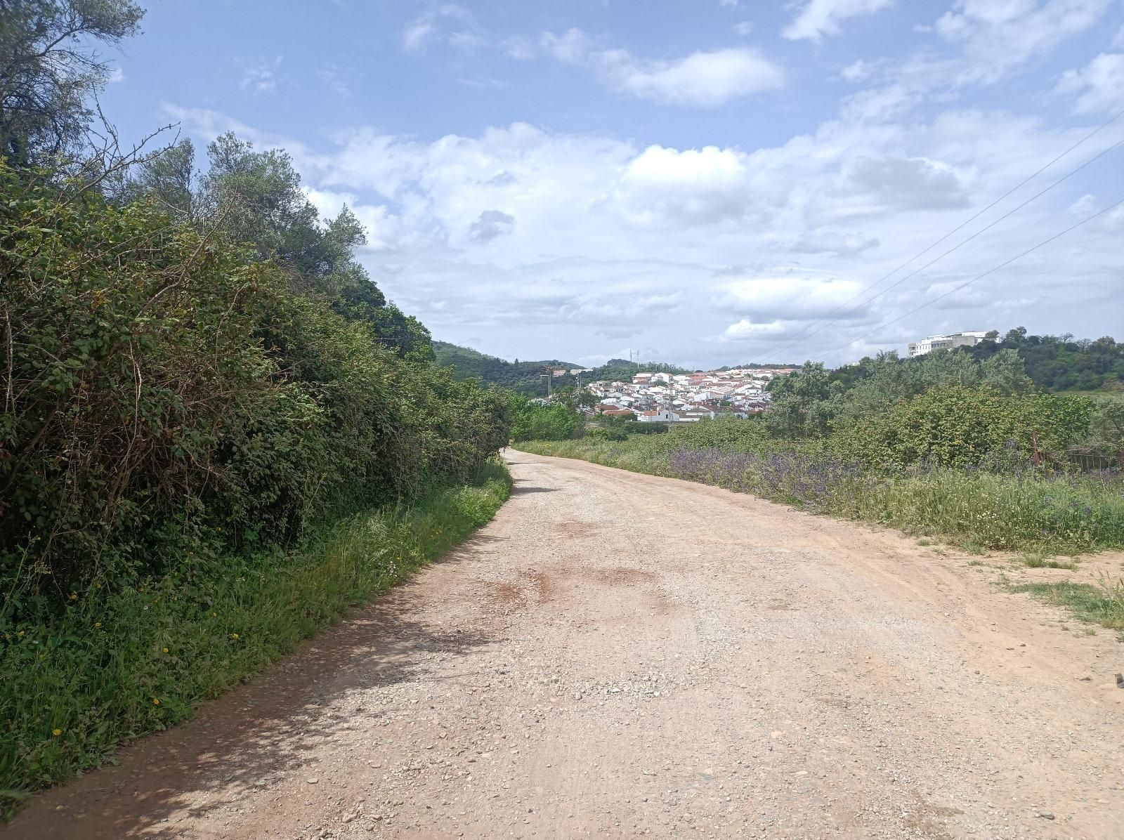 Las fotos de la ruta circular entre Aracena y Corteconcepción