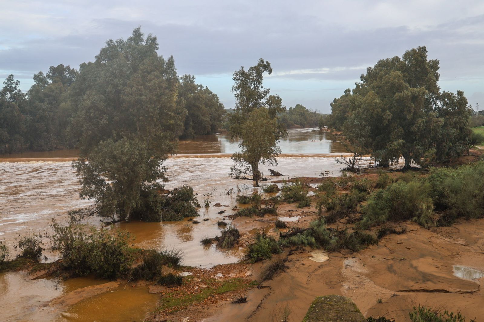 Fotografías del río Tinto a su paso por Niebla