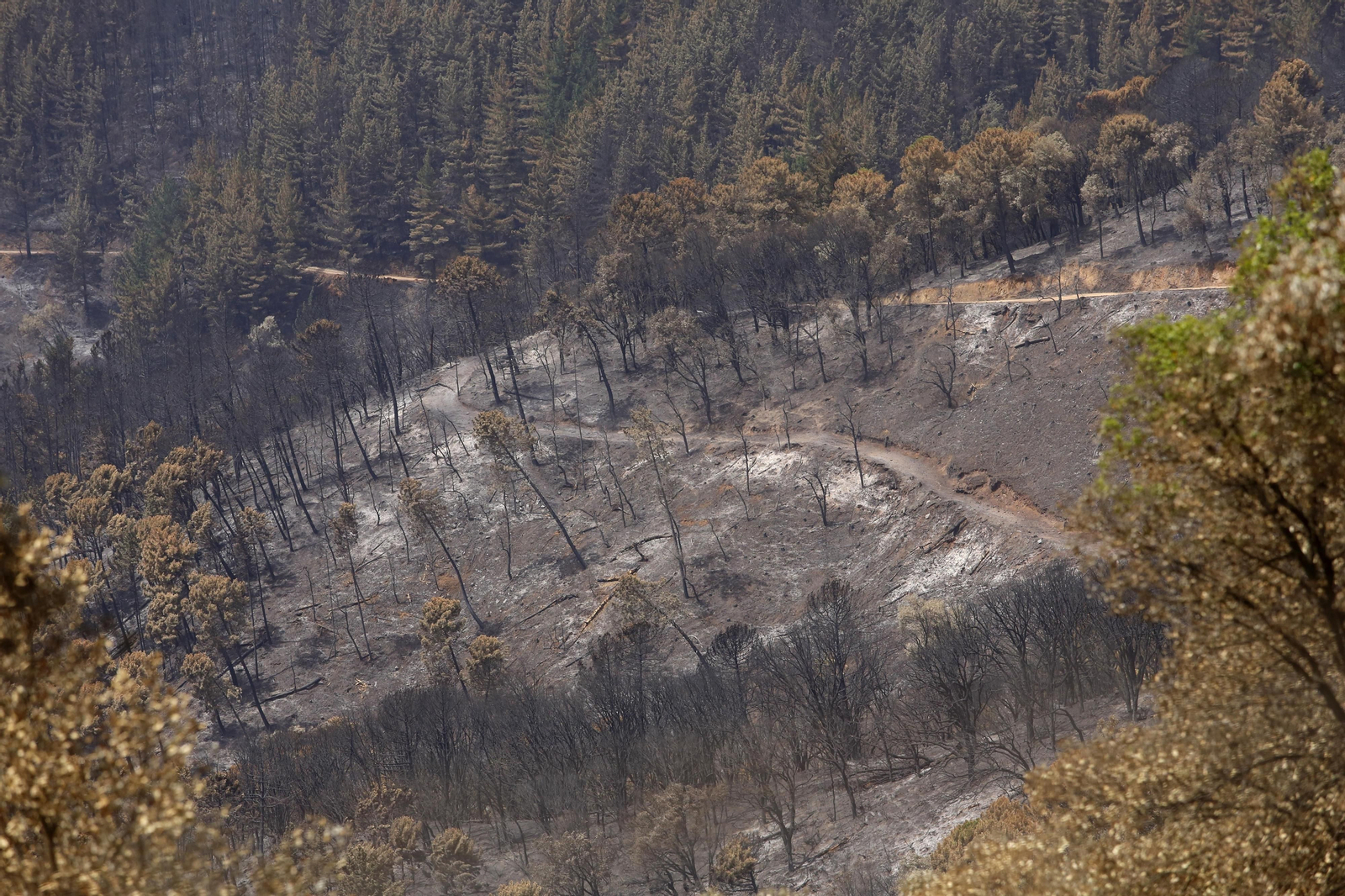 El incendio de Sierra Bermeja una semana después, en fotos