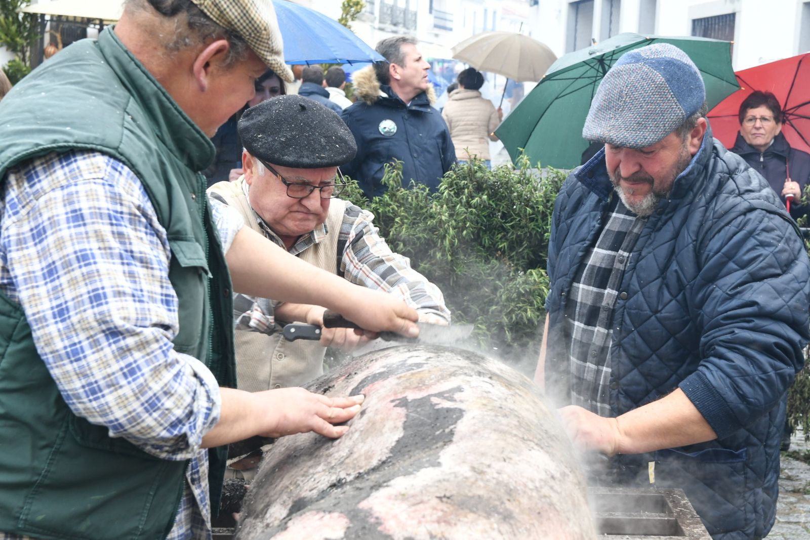 Varias personas labores de despiece del cerdo.