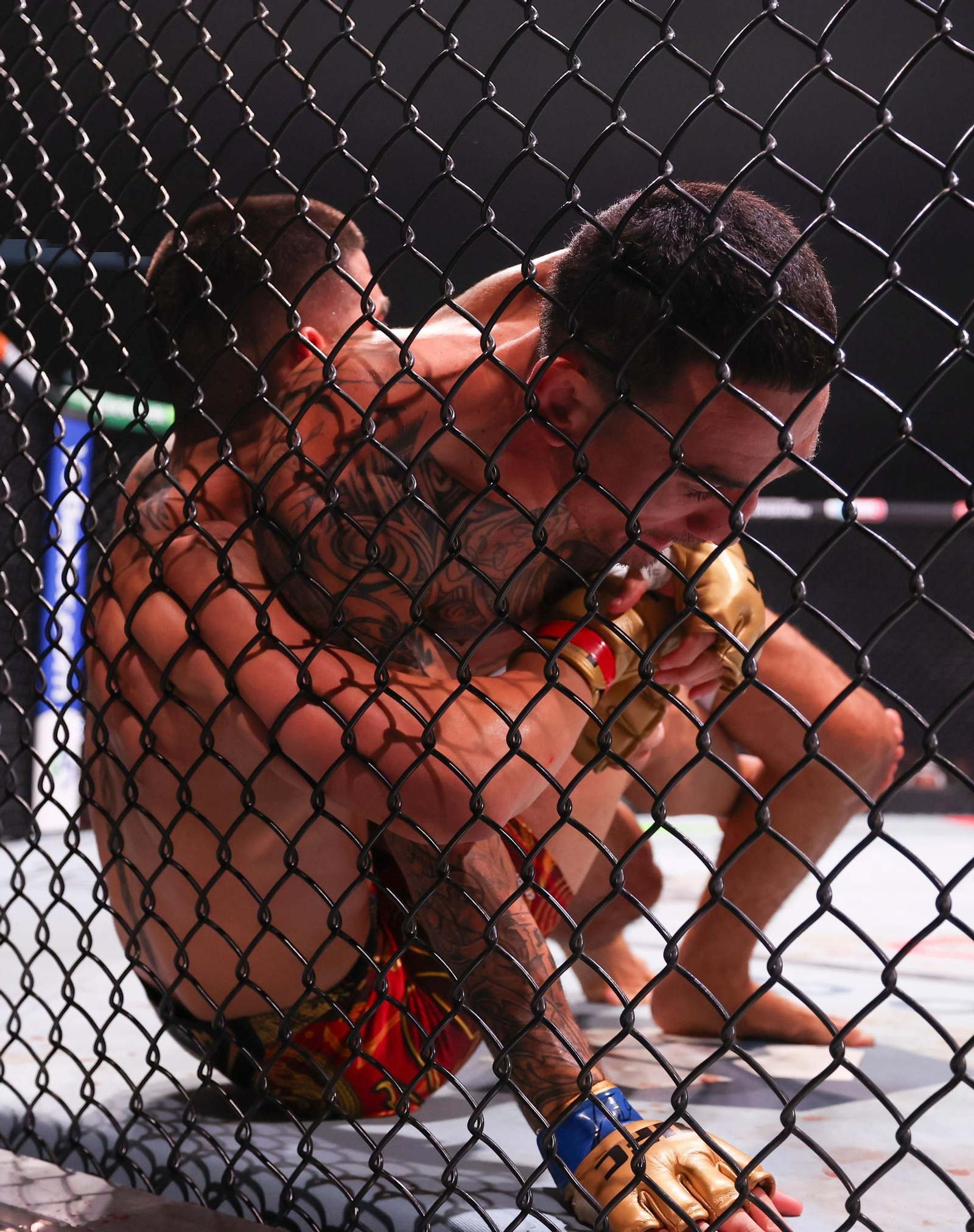 Las fotos de Topuria - Holloway