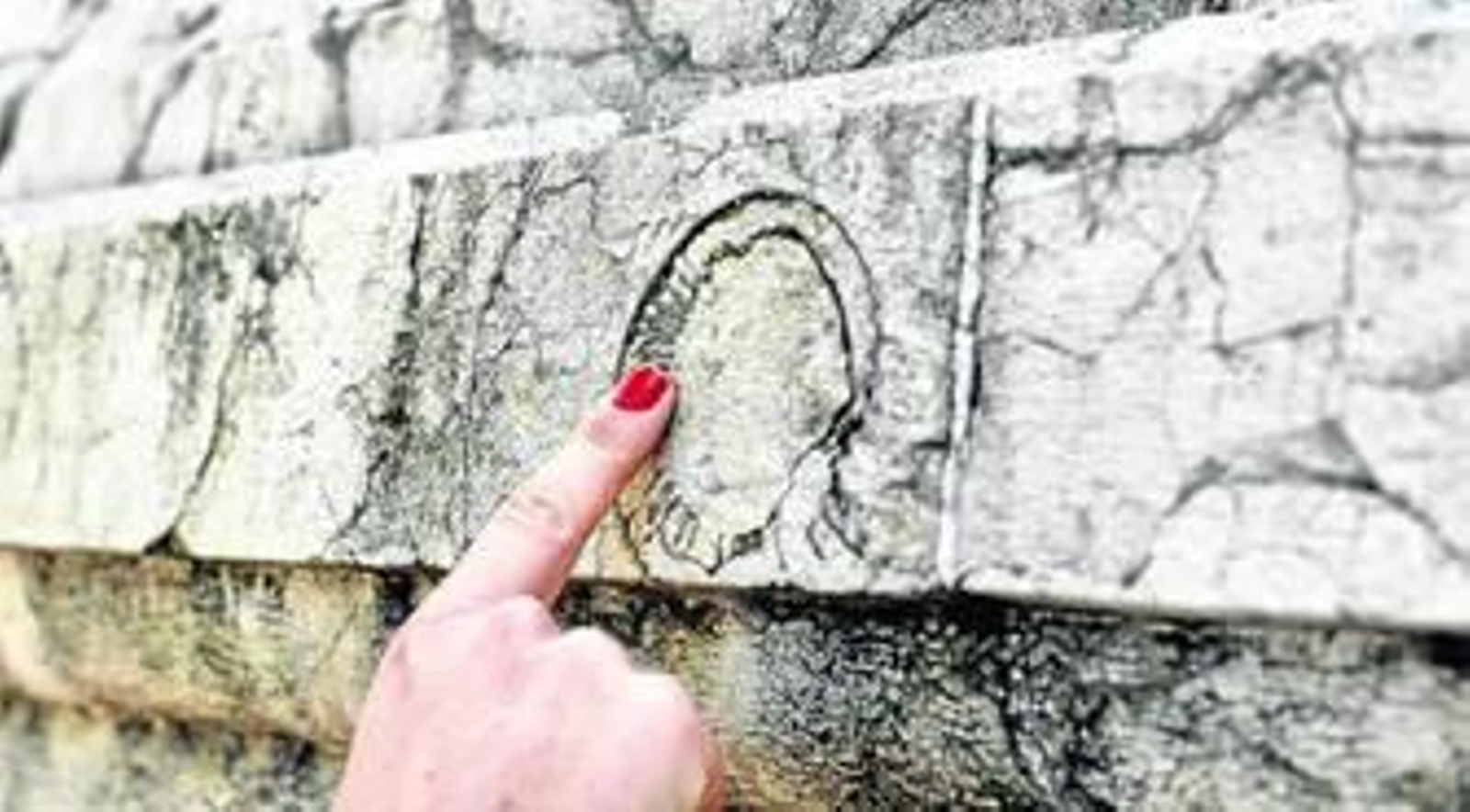 Monumentos que hablan del Jurásico