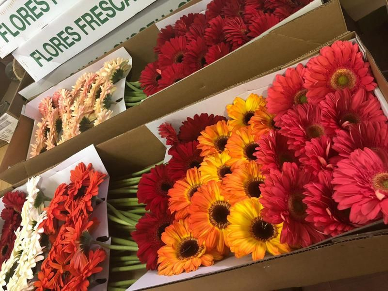 Una caja con flores de la iniciativa Floreando.