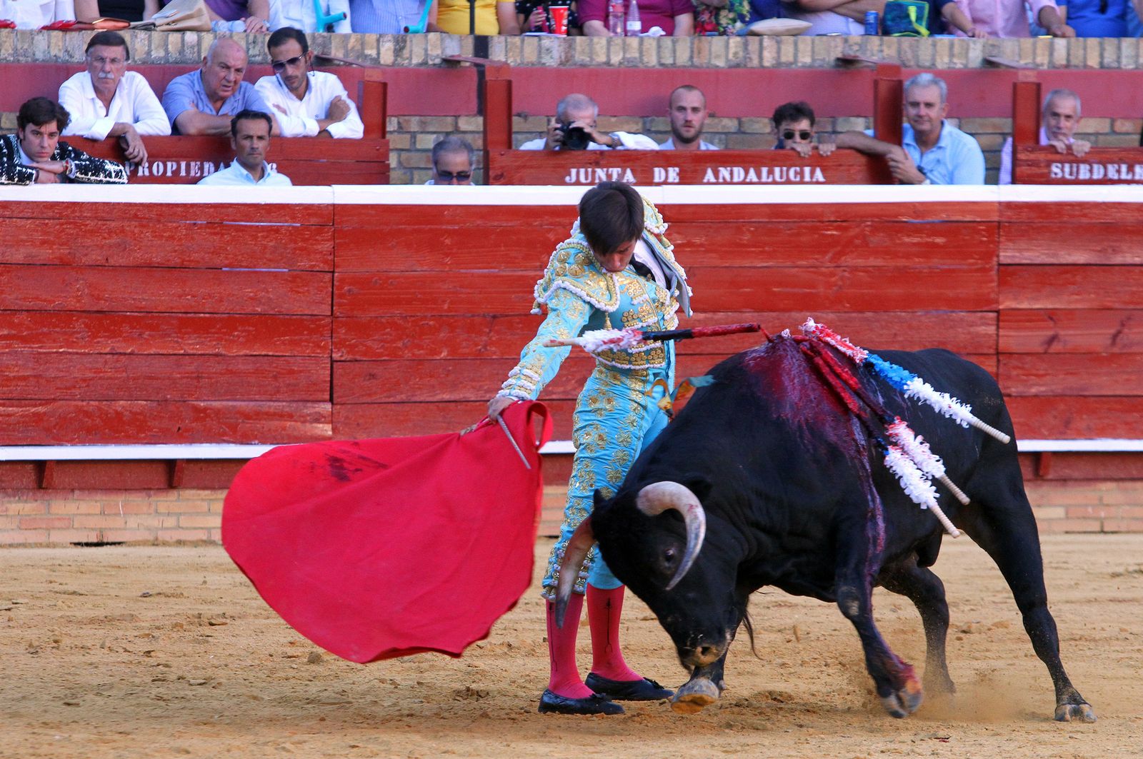 Imágenes de la Novillada de Rafael Serna, Emilio Silvera y Rodrigo Molina.