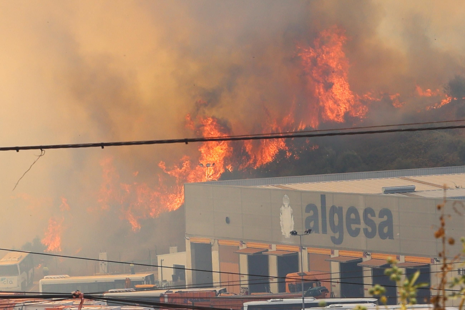 Las fotografías del incendio en el paraje de Botafuegos, en Algeciras