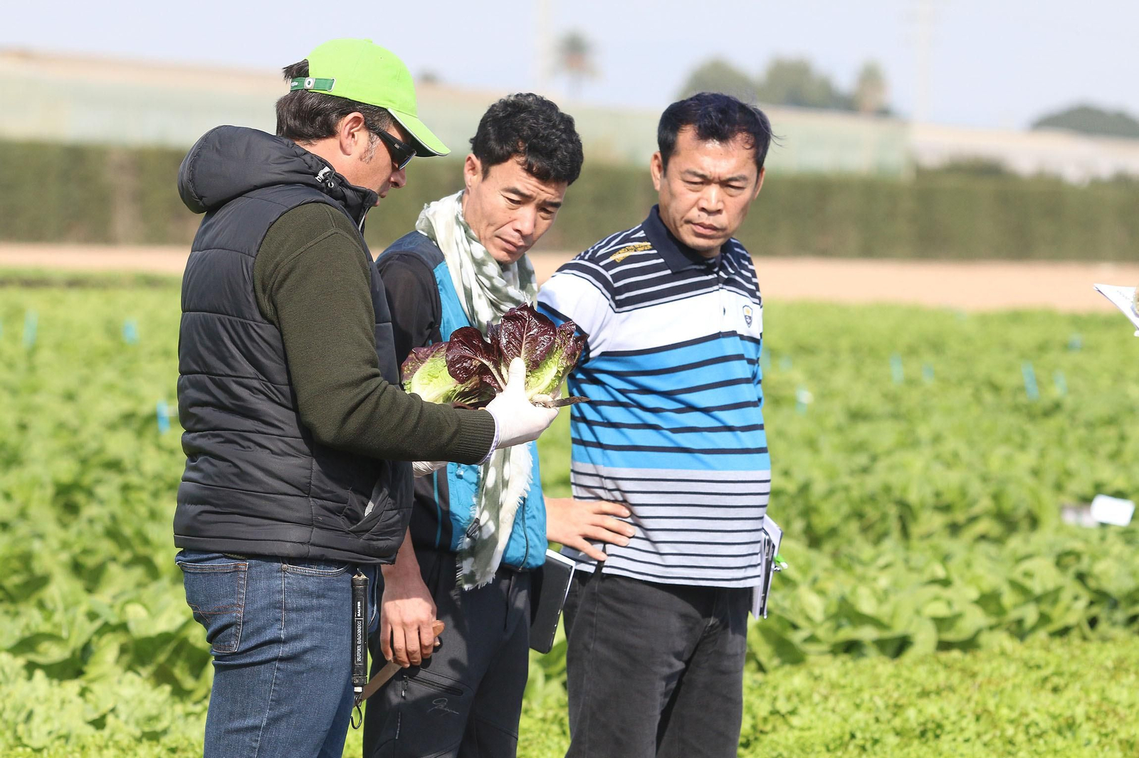 Fotogalería de las jornadas de puertas abiertas de Rijk Zwaan en Cartagena