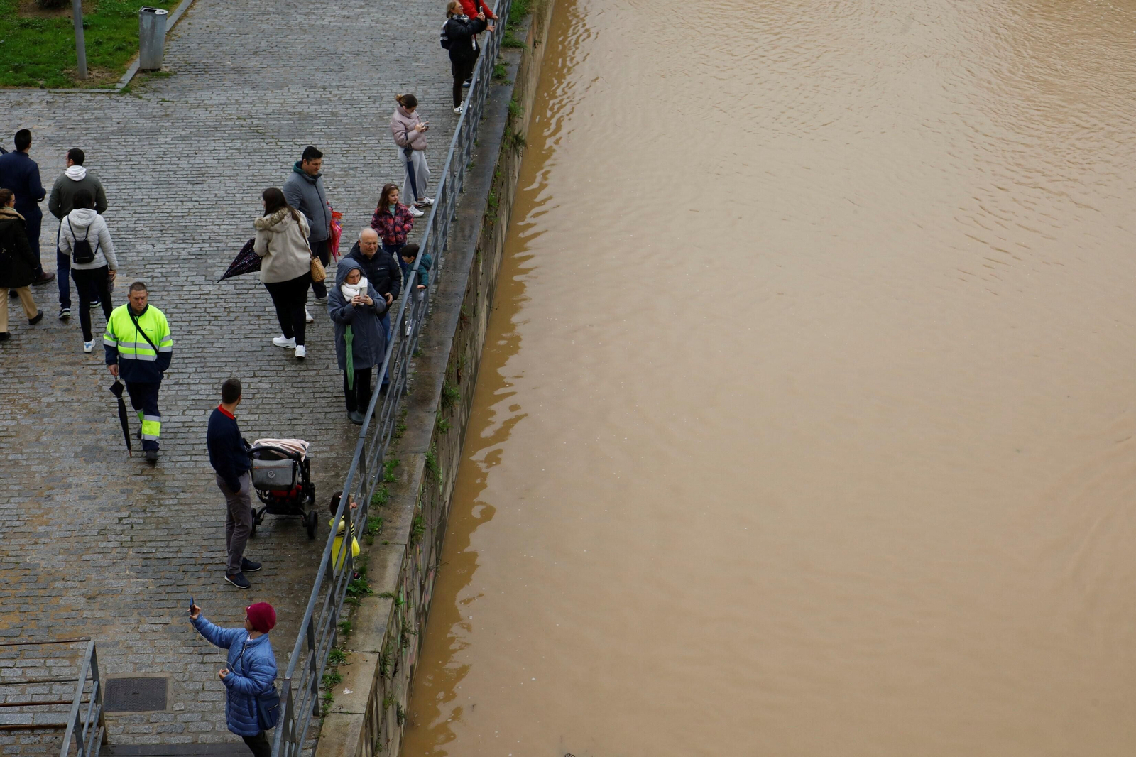 La crecida del río Guadalquivir en Córdoba tras las lluvias caídas por la borrasca Karlotta, en imágenes