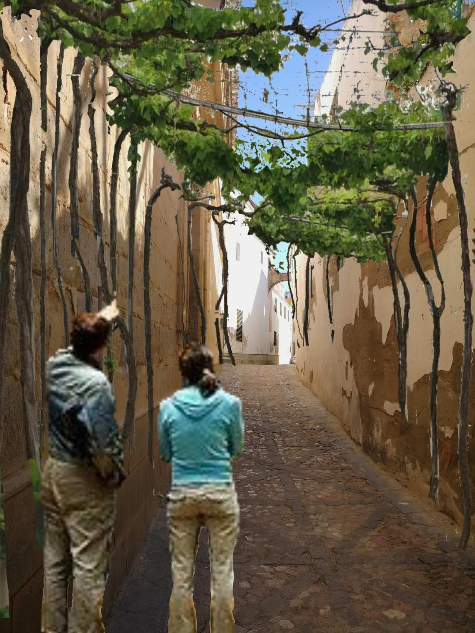 Jerez, la ciudad emparrada (2)